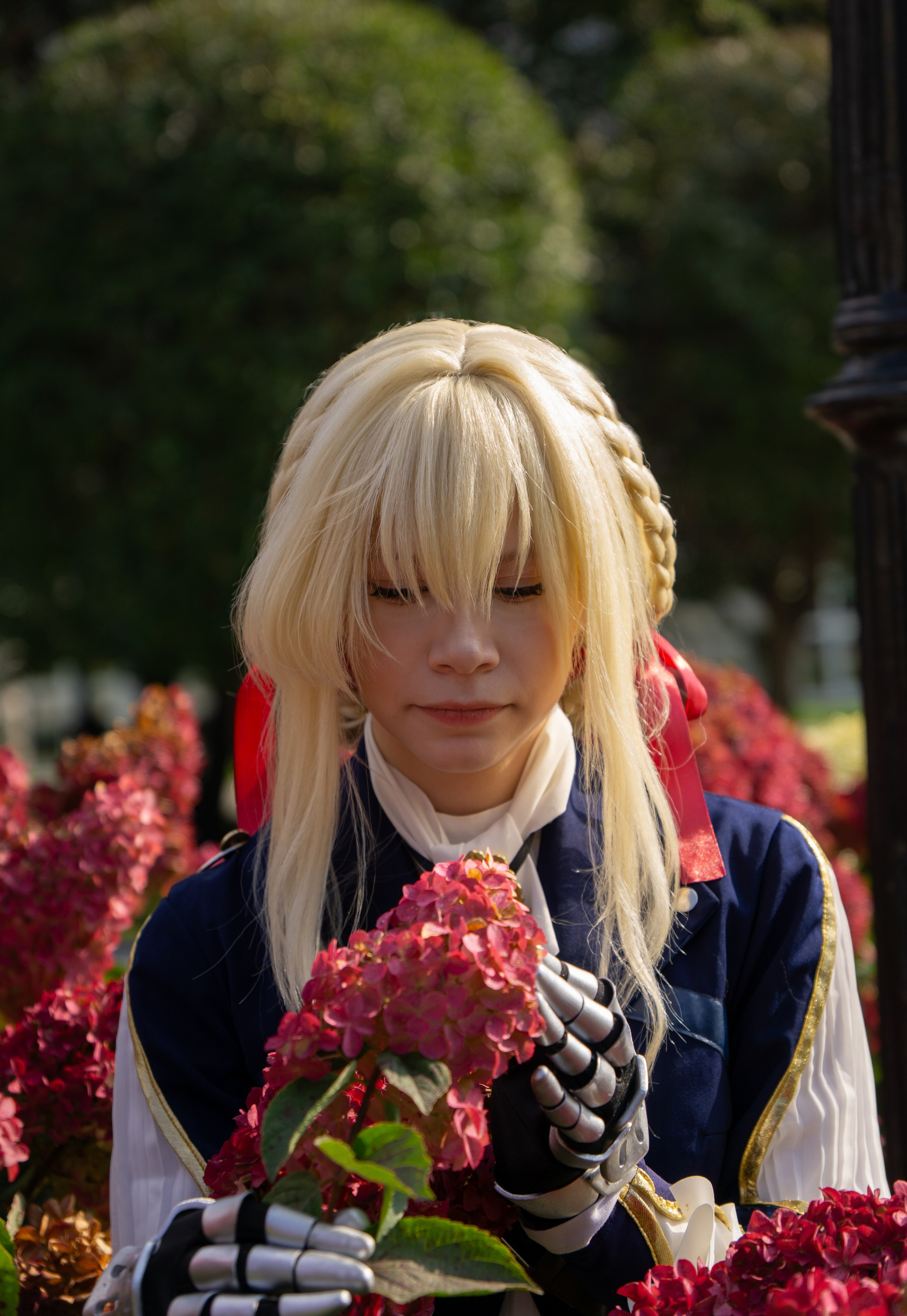 Violet Evergarden. Соболь на фестах