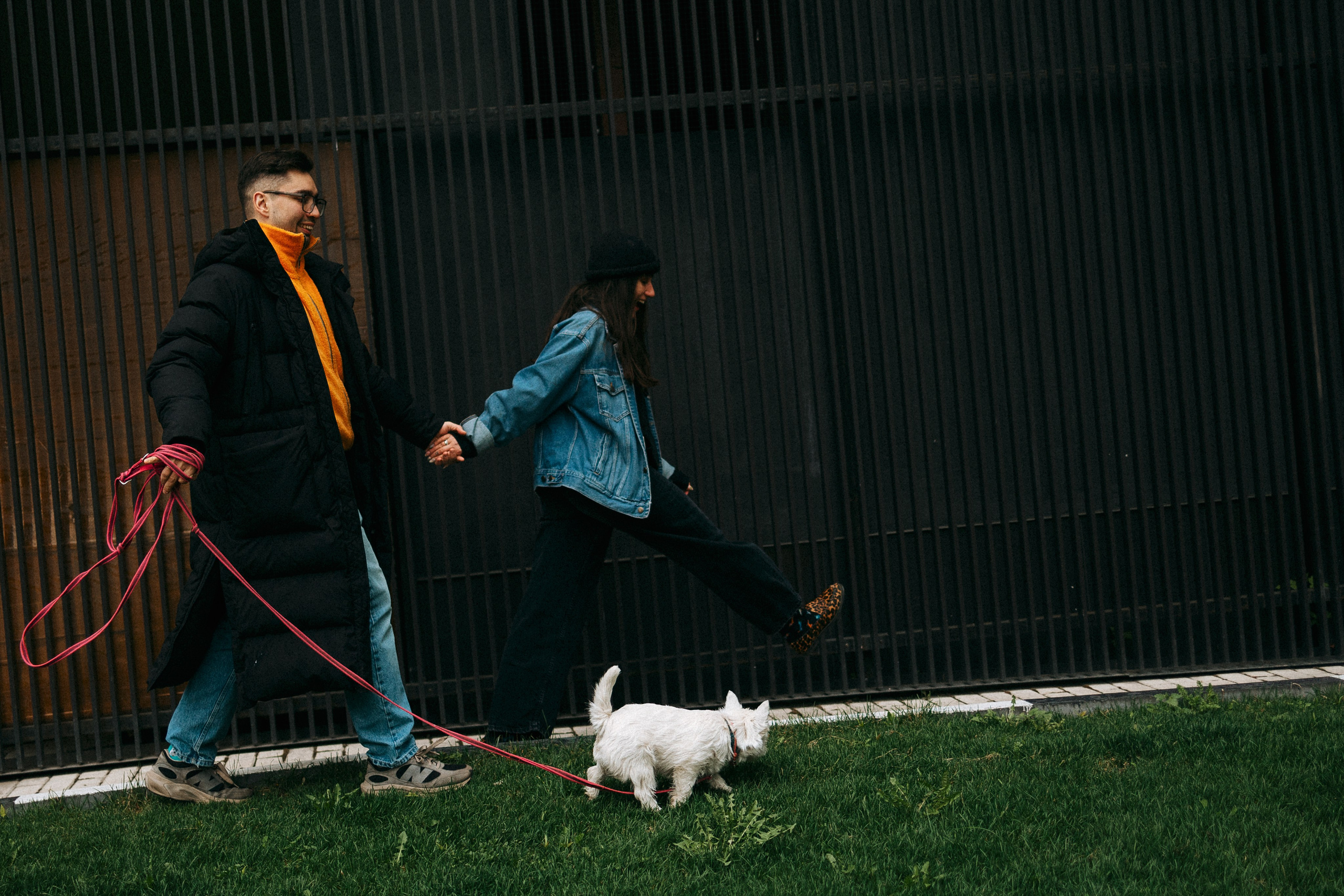 Снежуля, Мари и Саша. Фотограф анималист Анастасия Пикей