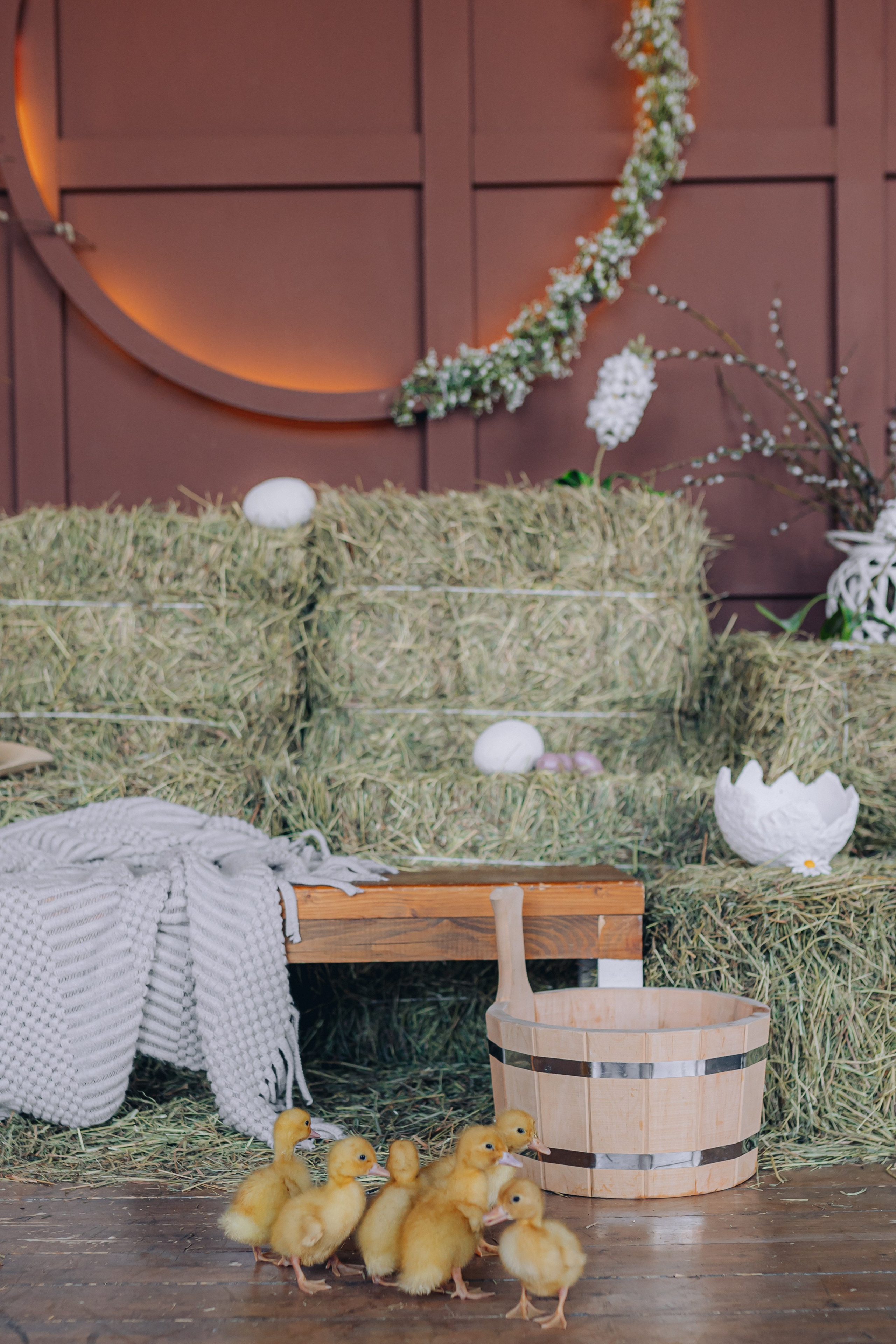 ETO Studio — фотостудия в Минске. Понравилась студия? Напишите — организую съёмку именно здесь. Фотограф в Минске Людмила Дутко