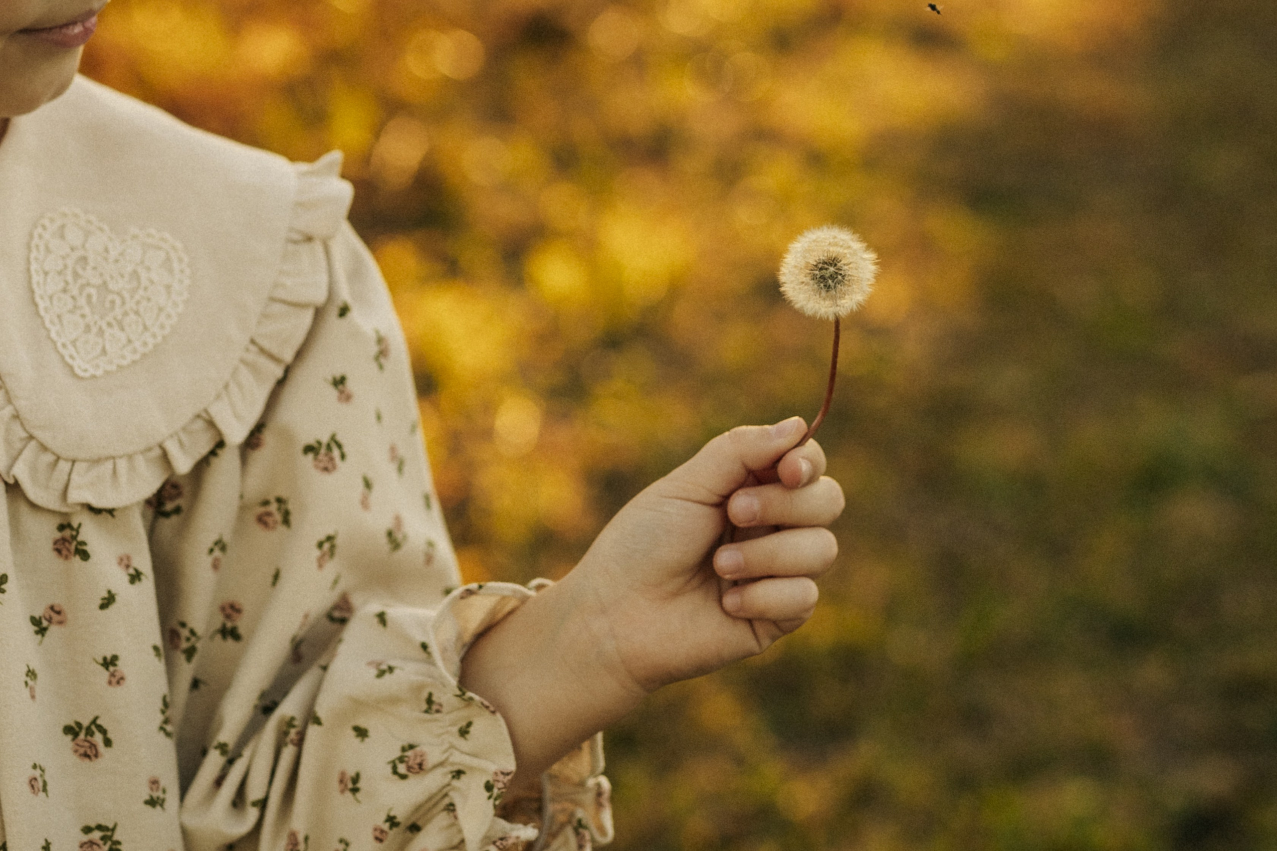 Семейные истории. Семейный фотограф Даша Погорелова г. Богучар