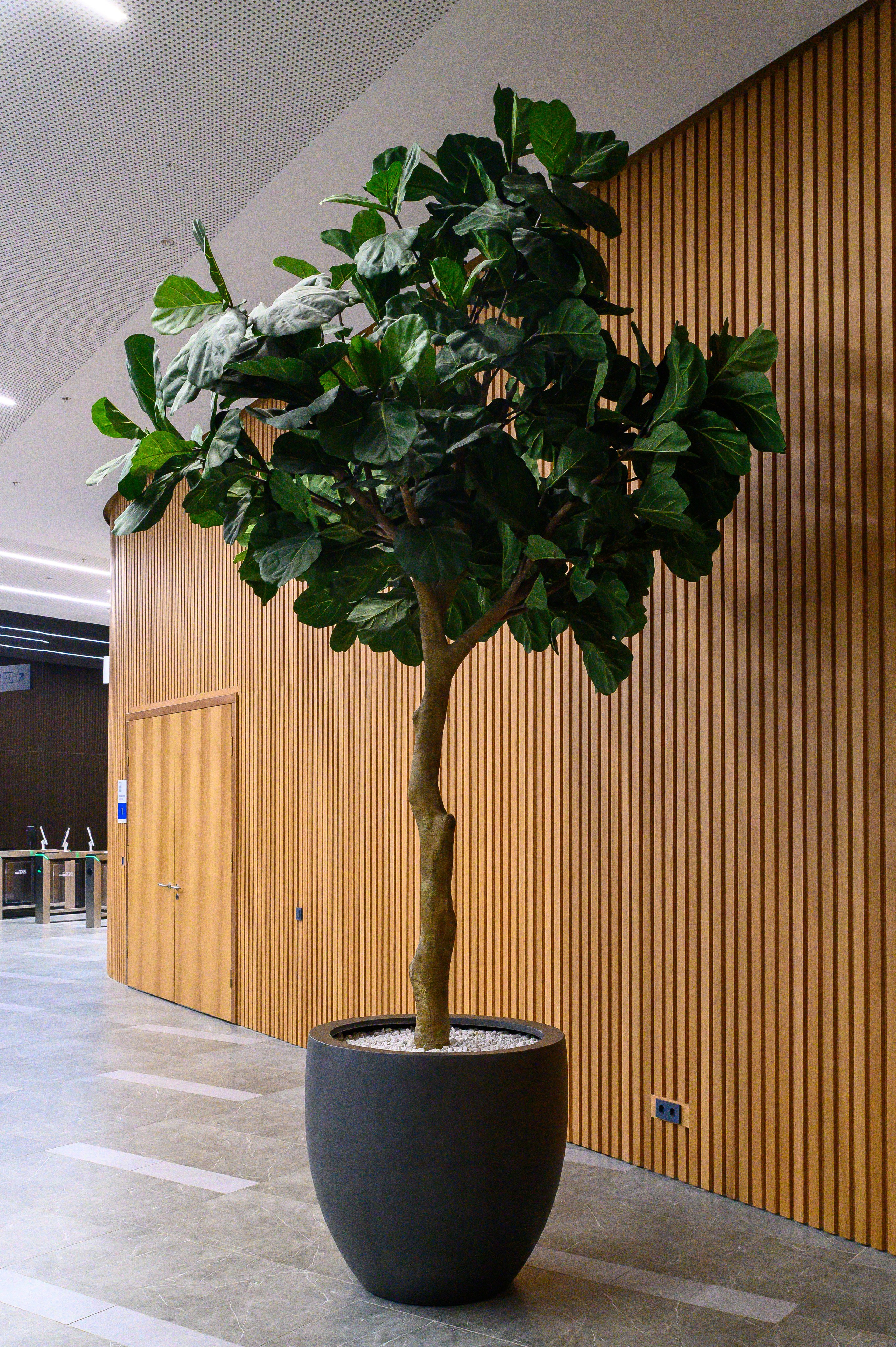 BelExpo. Фотоуслуги, услуги фотографа, фотографирование важных событий