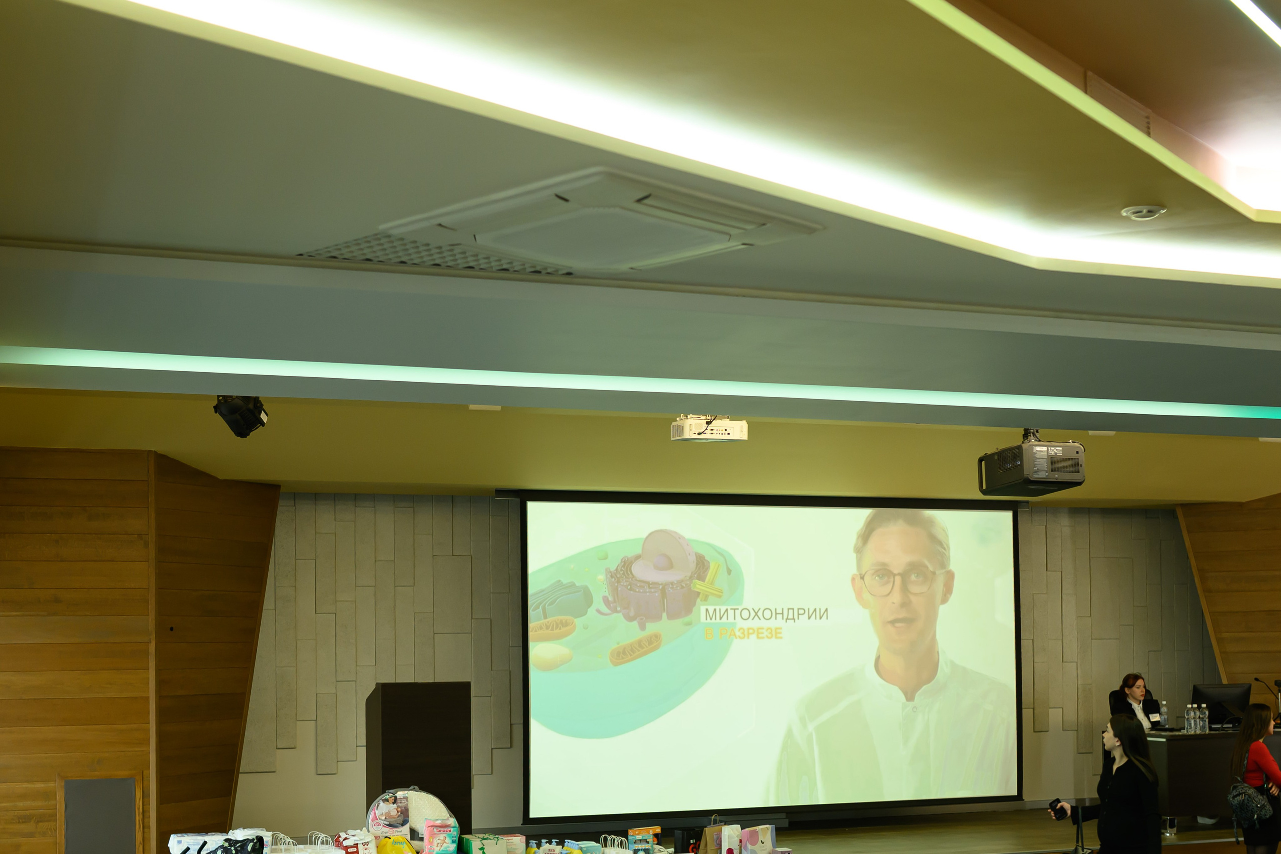 Праздник материнства ноябрь 2025. Профессиональный фотограф Елена Красилина г.Ярославль, г. Рыбинск