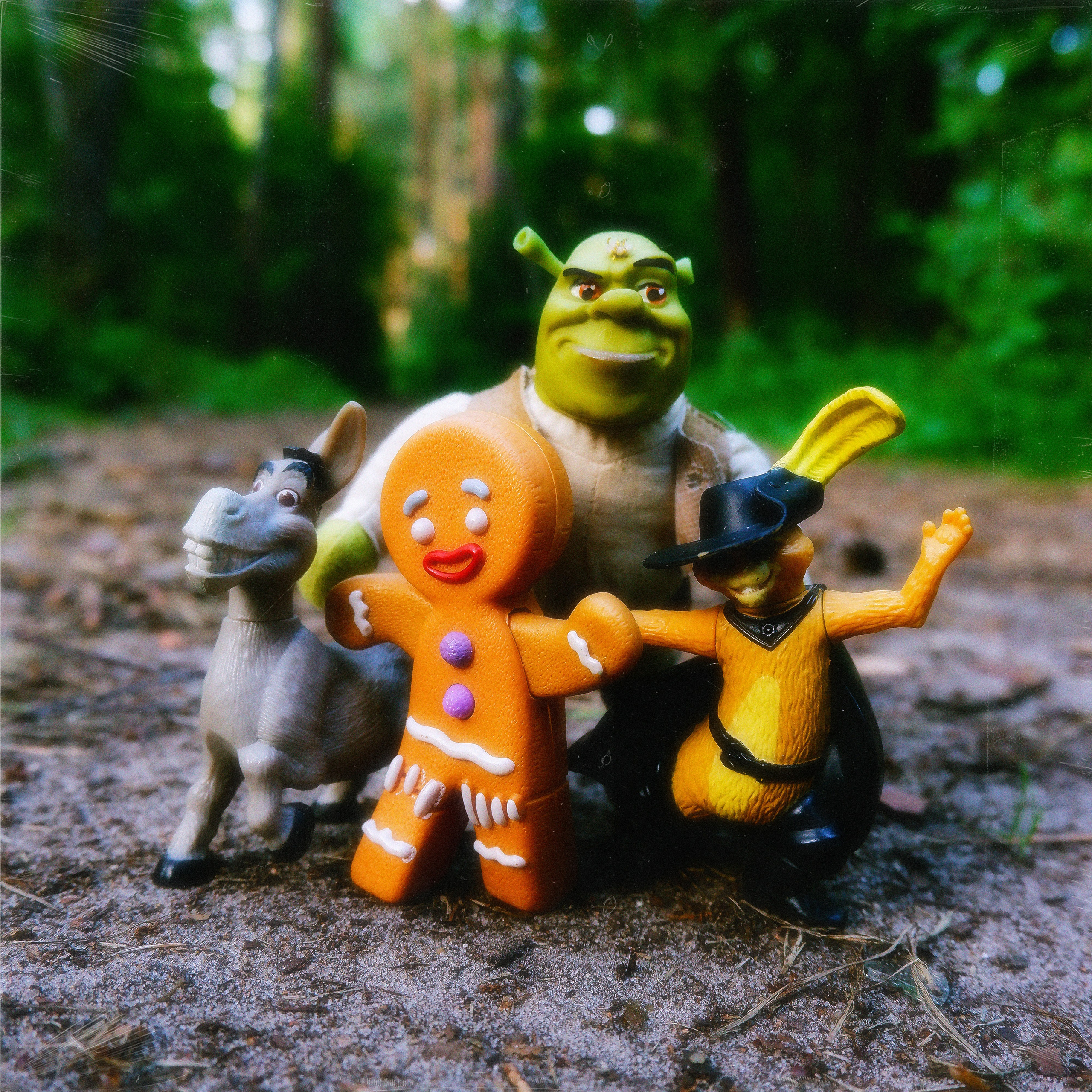 TOYS. ANNA — PHOTOGRAPHER