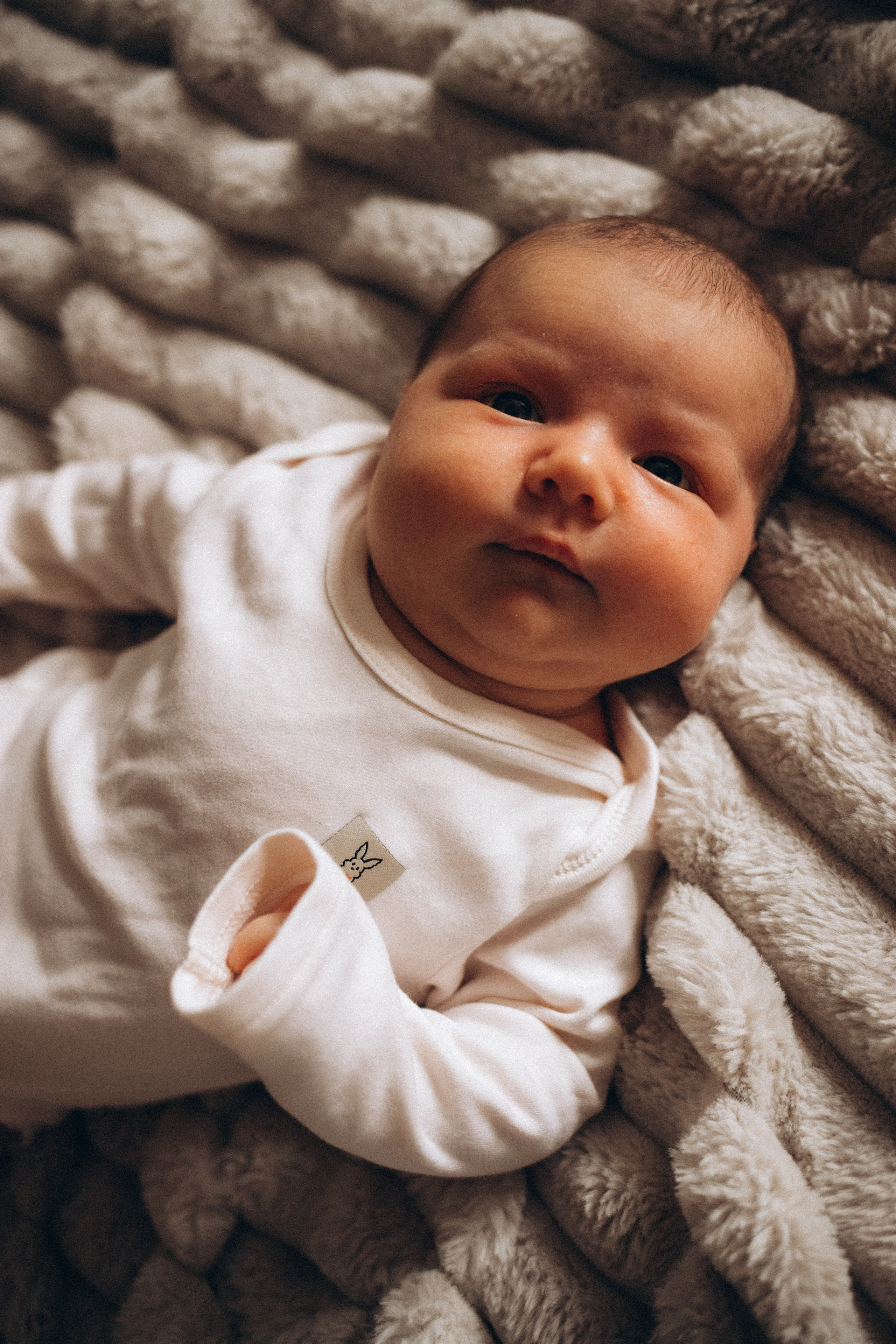 Счастье у вас дома. Семейный и свадебный фотограф Анна Кожокарь