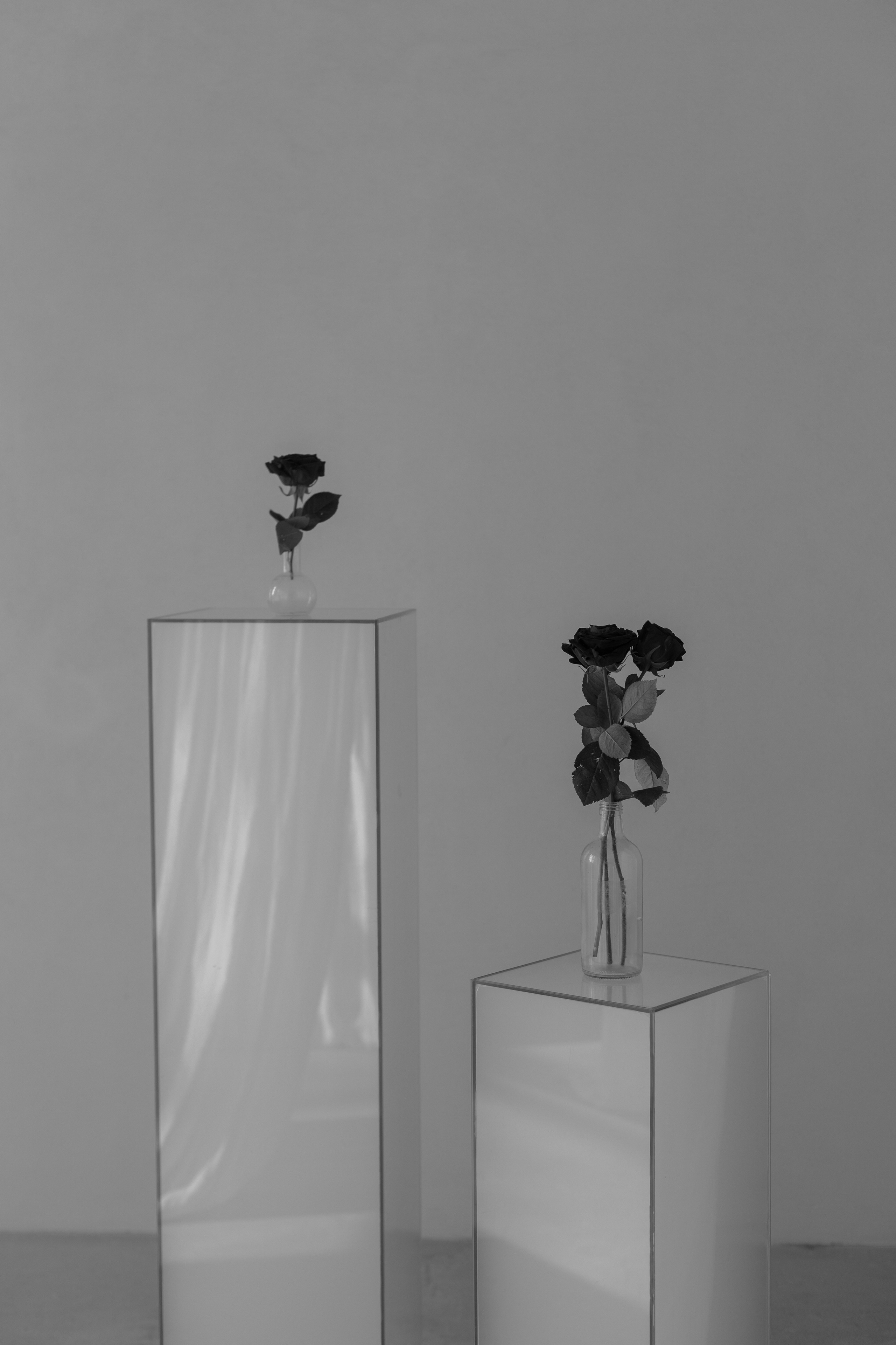 Alexandra. Твой душевный фотограф — Ирина Амирбекова