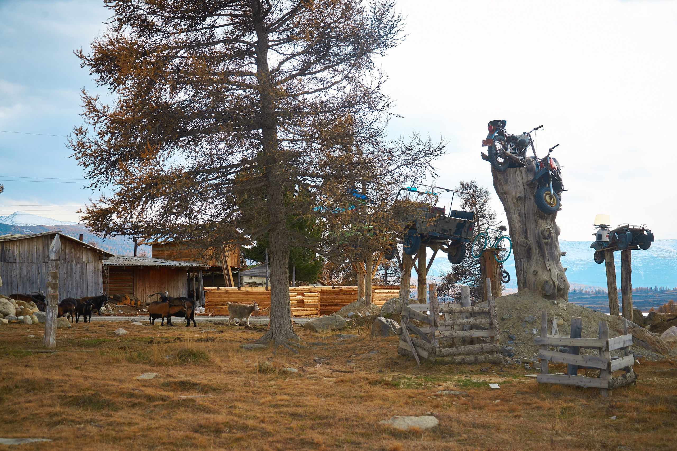 Контент-съёмка для туристической компании НА ВЫСОТЕ. Семейный фотограф в Барнауле, Горный Алтай, Заринск, Алейск