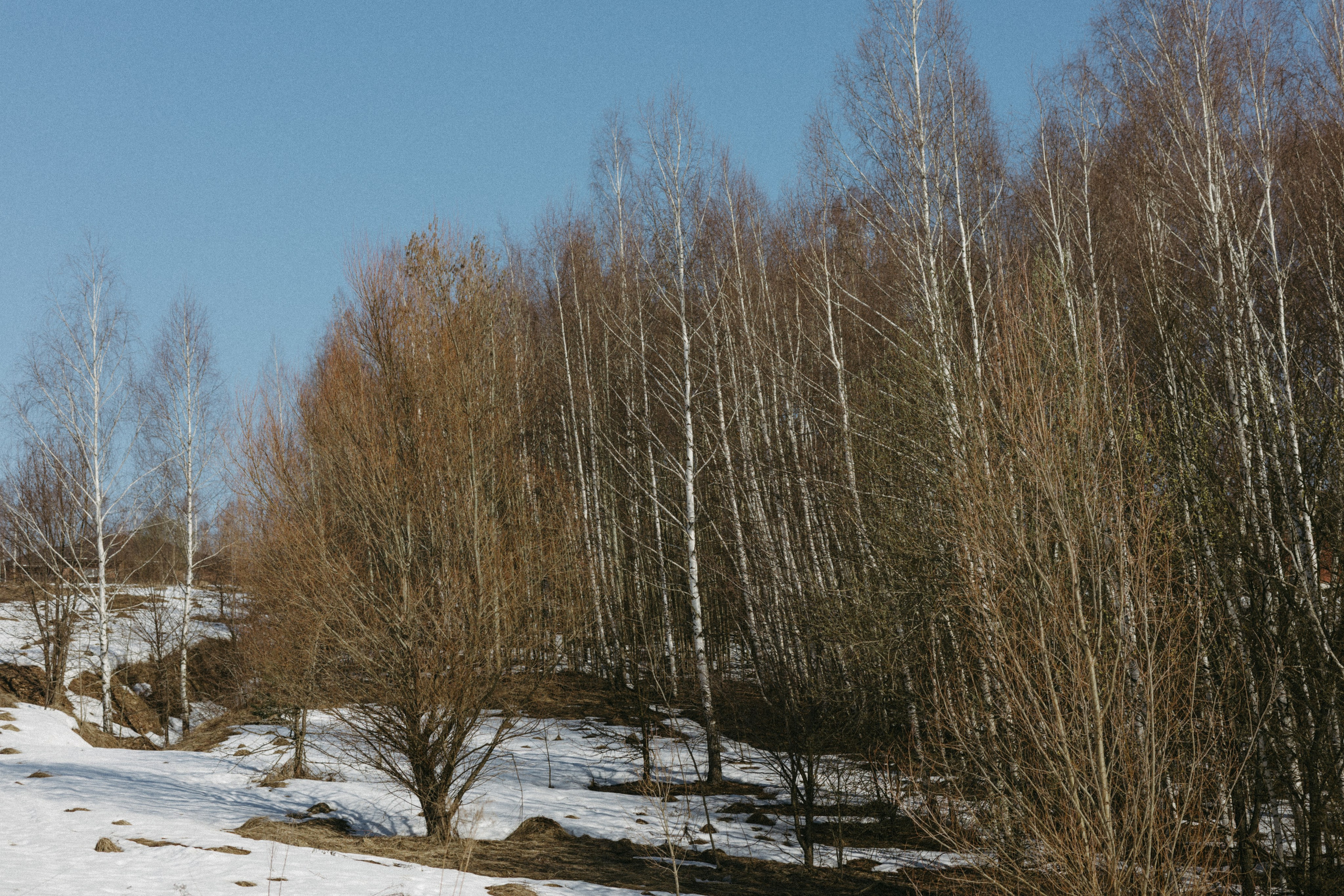 Природа деревни. Фотограф Эльмира Лин