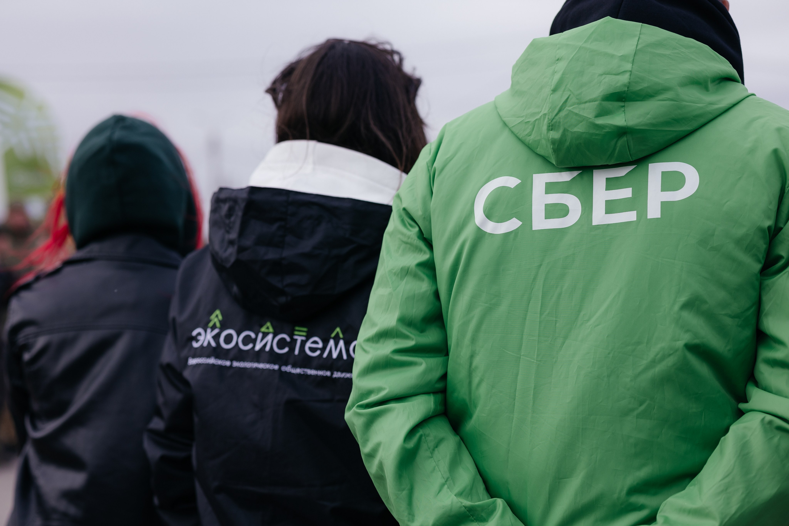 Сохраним лес. Фотограф Крохин Олег