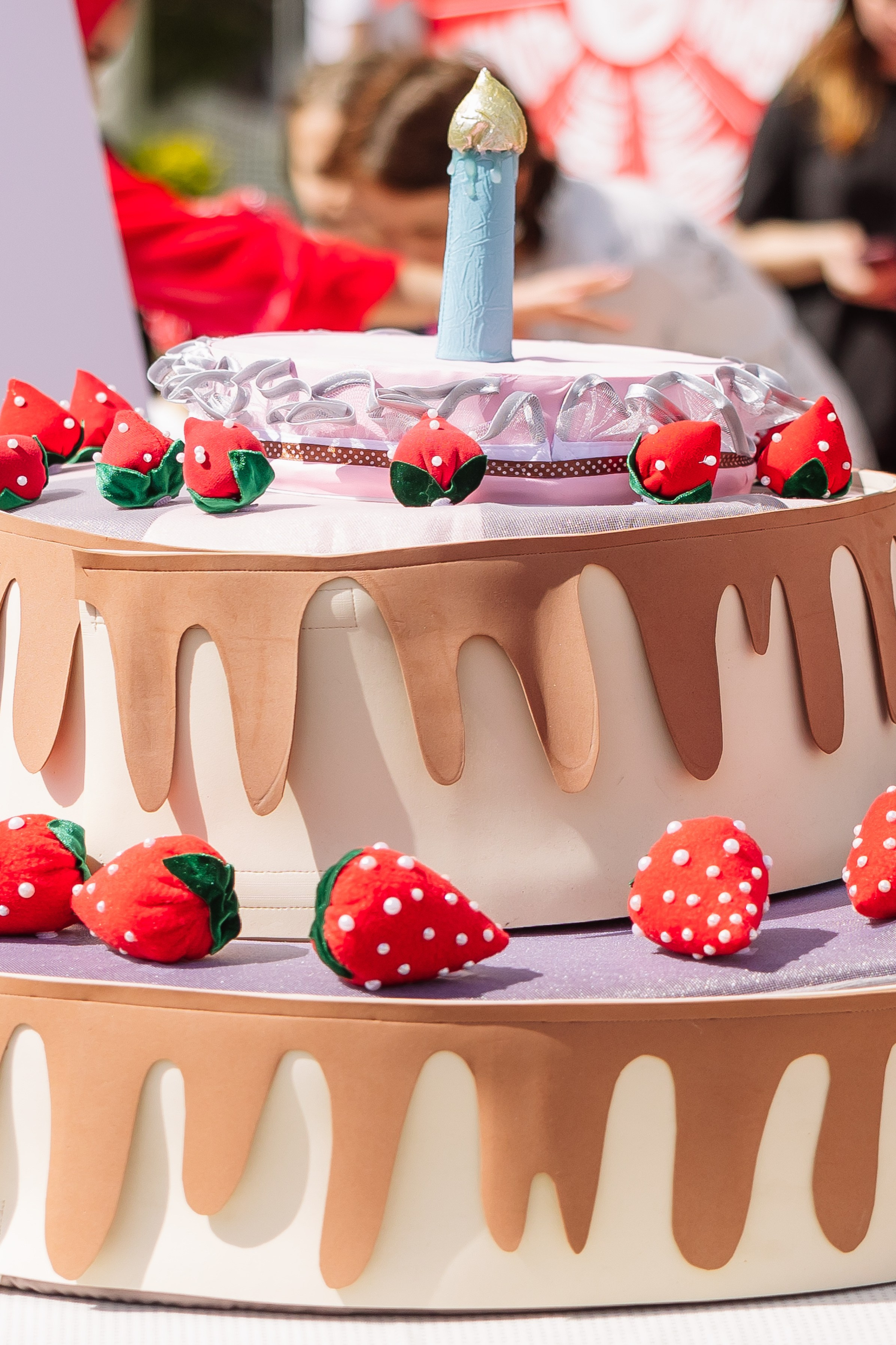 Репортаж с клубничного фестиваля. Фотограф в Краснодаре