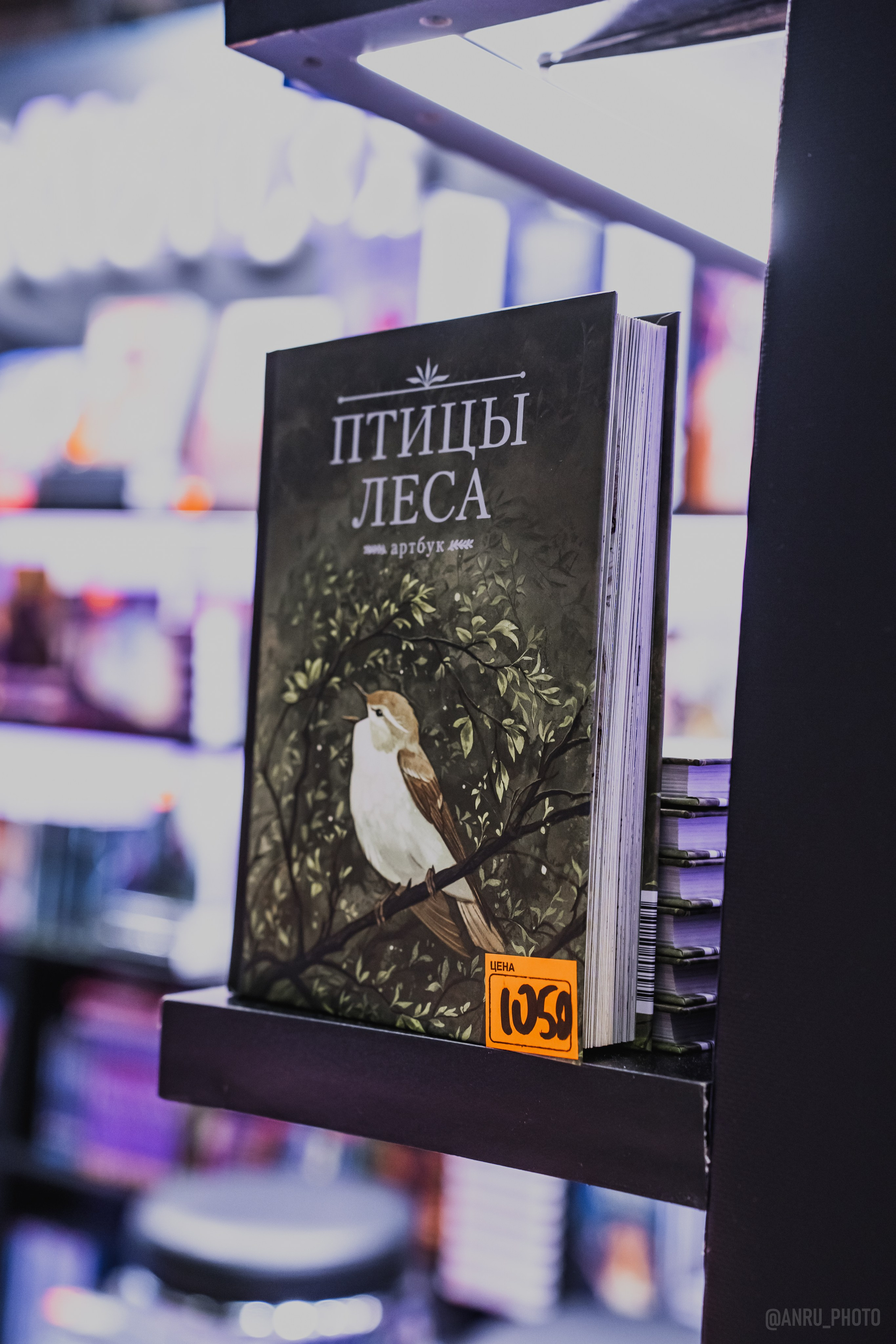 Non/fictio№ 27. Репортажный фотограф Анастасия Рубцова