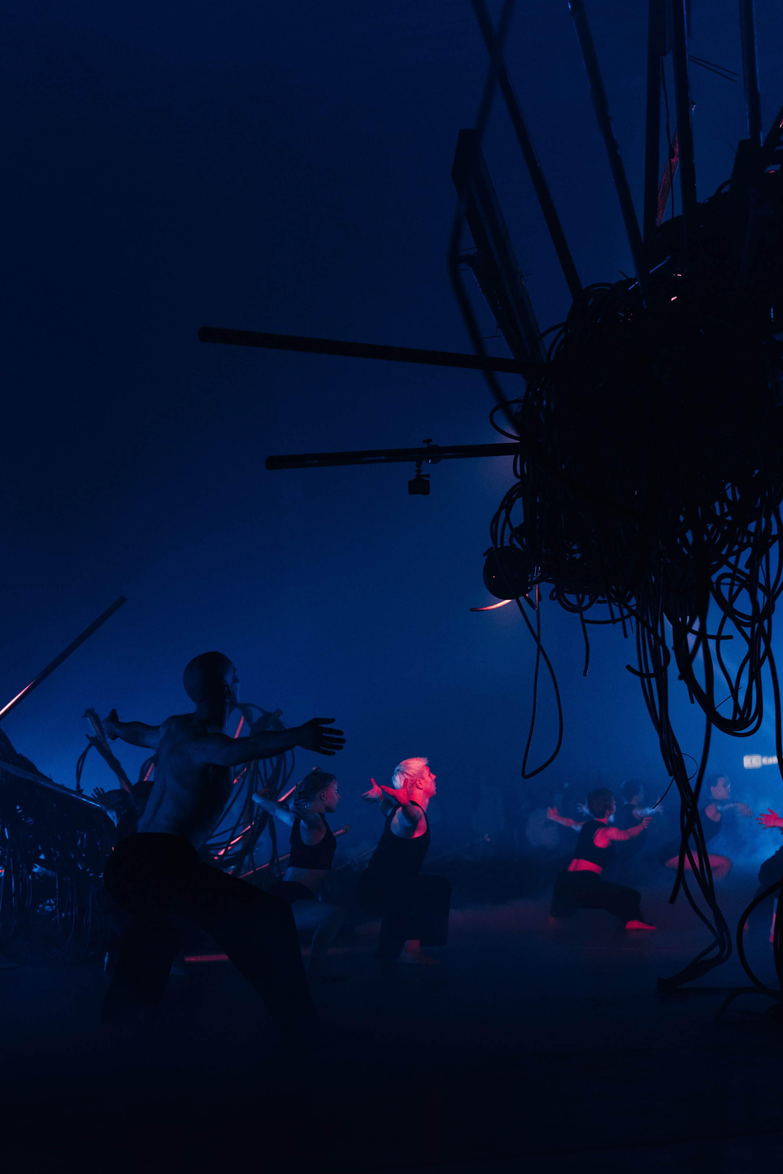 PERFORMA, The Hour of the Horse. @tomrus: Рустам Шагиморданов — фотограф