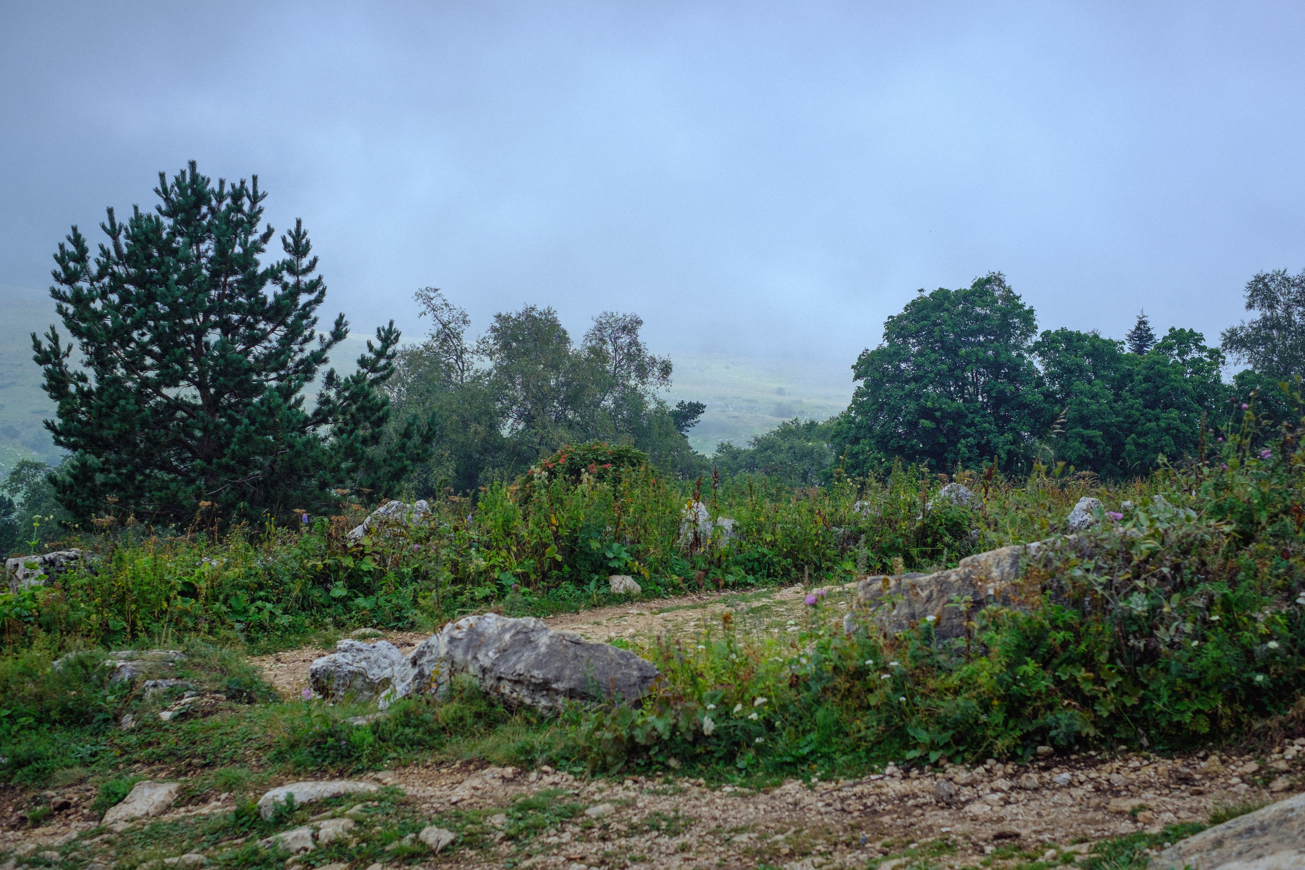 Тридцатка | август 2023