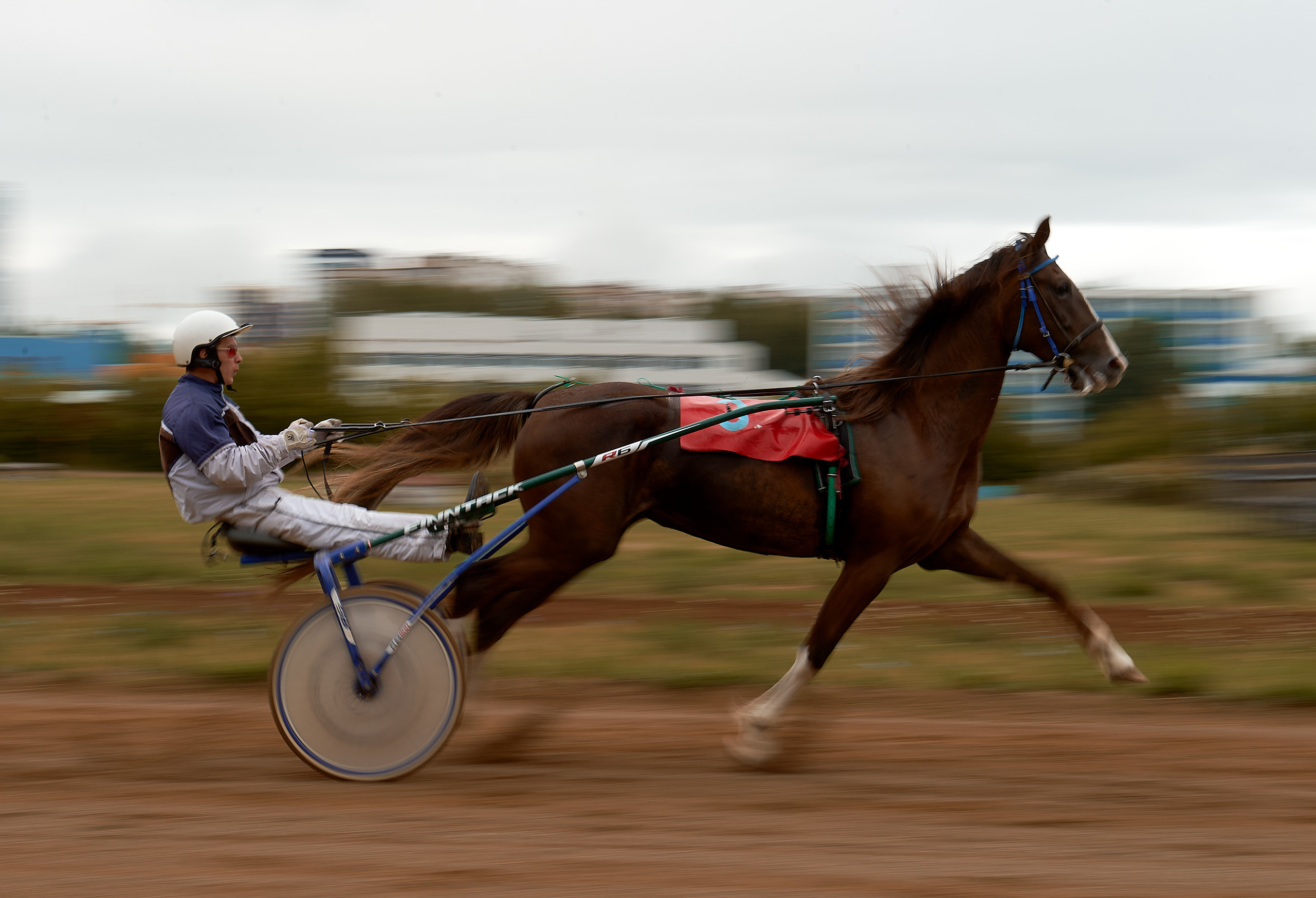 Конный спорт. Спортивный репортажный фотограф в Ижевске Сергей Мерзляков