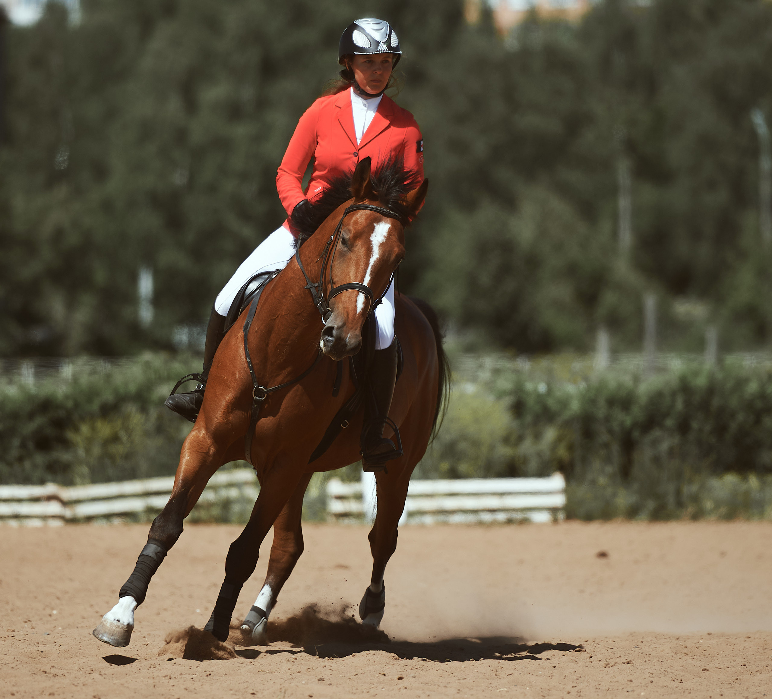 Конный спорт. Спортивный репортажный фотограф в Ижевске Сергей Мерзляков