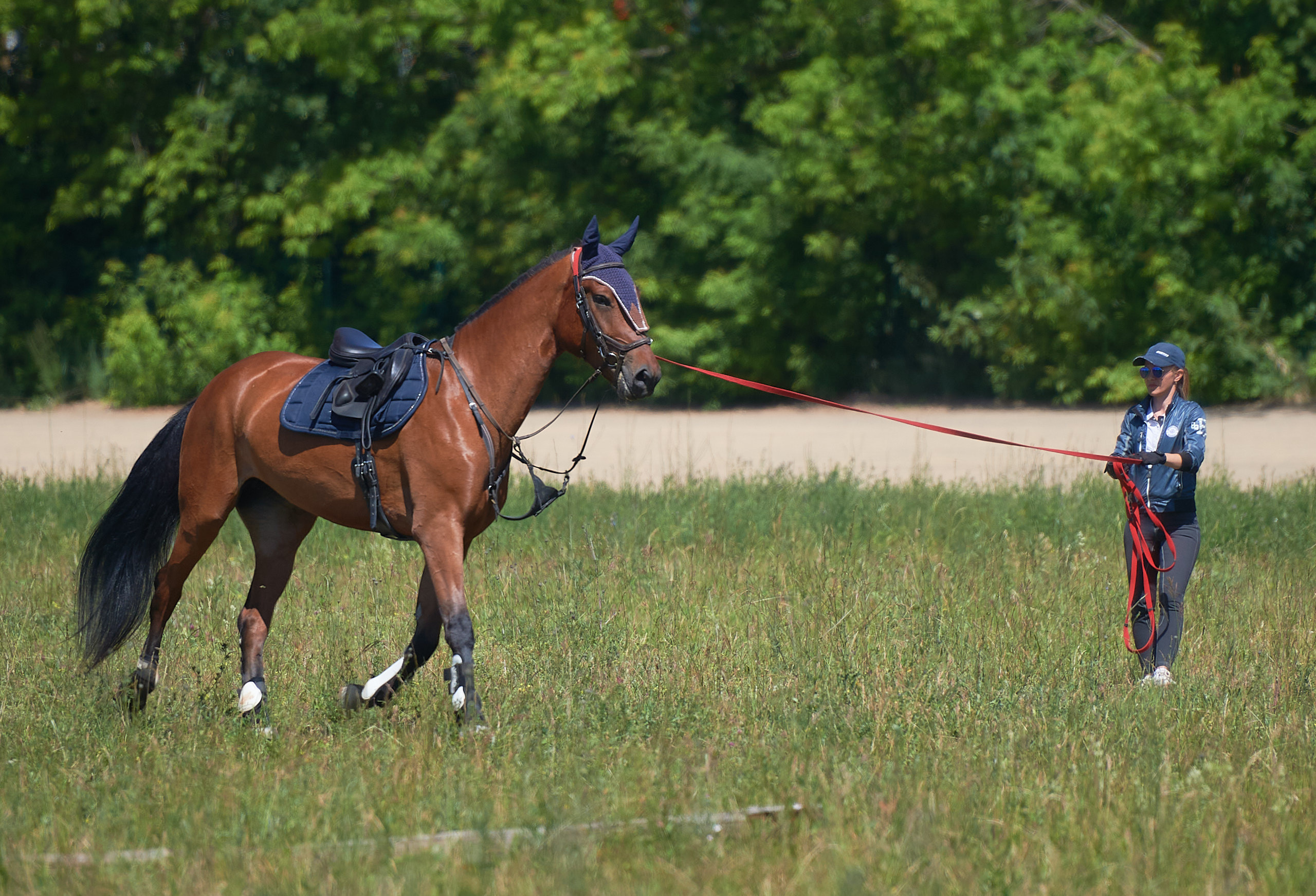 Конный спорт. Спортивный репортажный фотограф в Ижевске Сергей Мерзляков