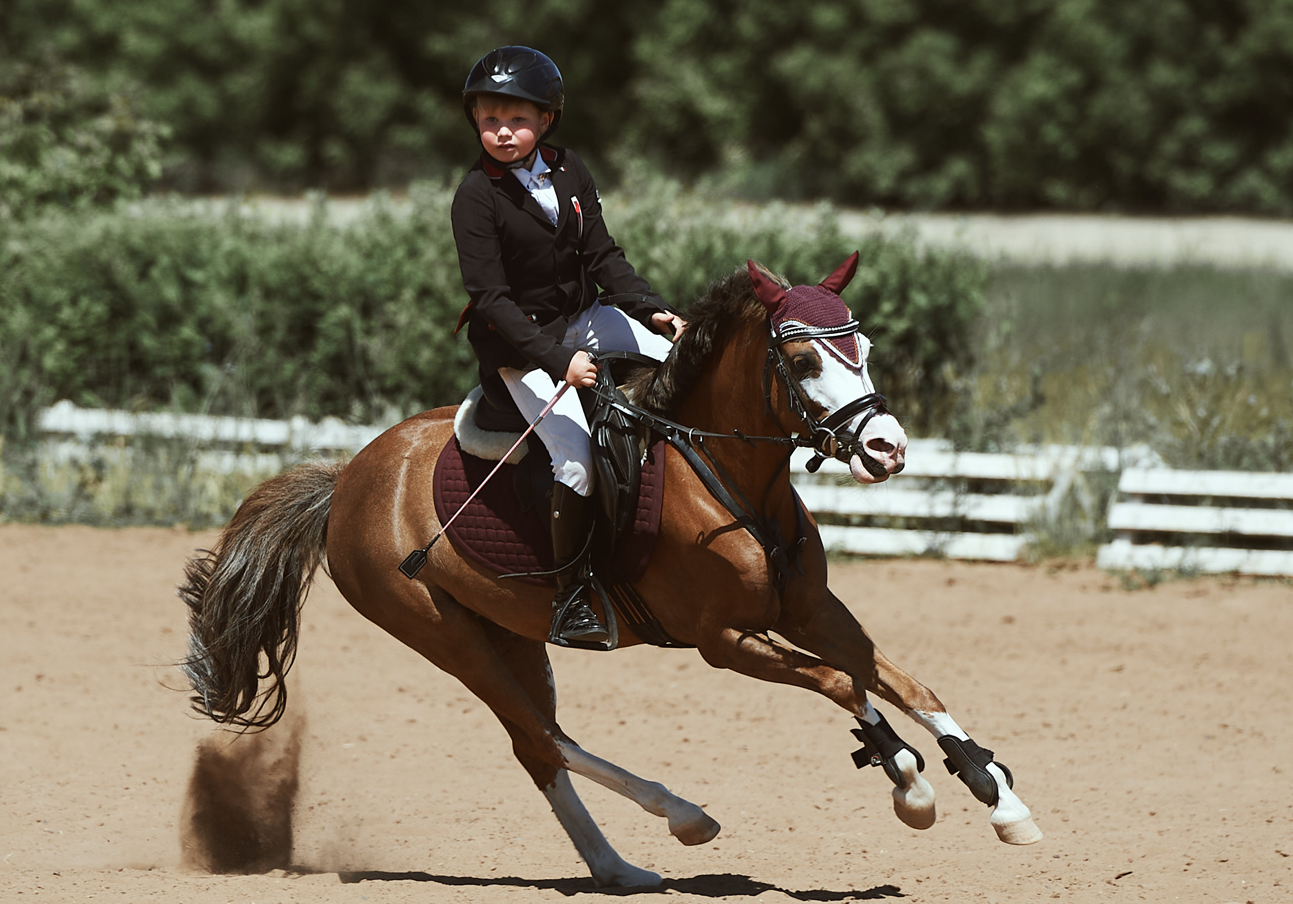 Конный спорт. Спортивный репортажный фотограф в Ижевске Сергей Мерзляков