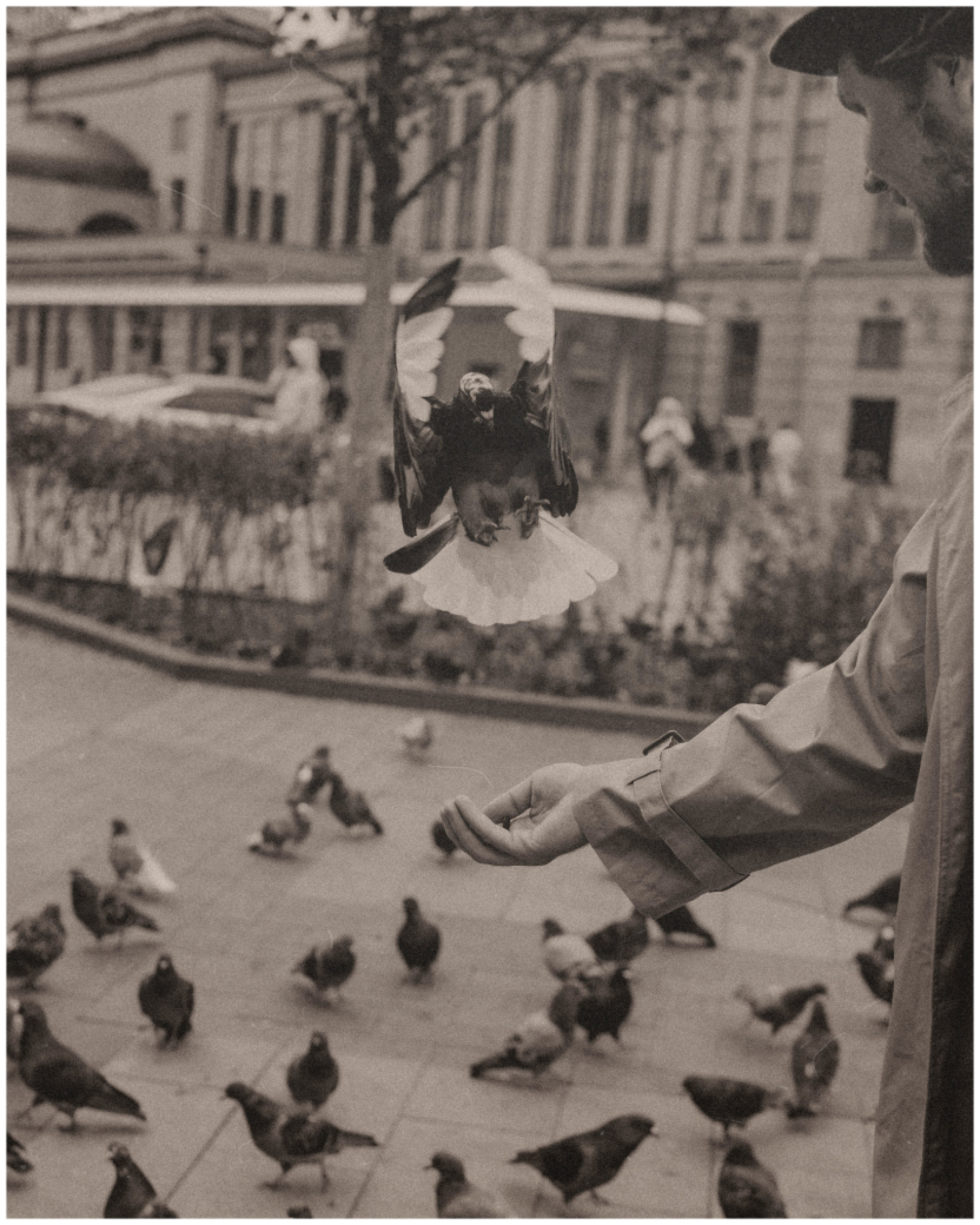 Вокзал для двоих. Свадебный фотограф Оля Григунова