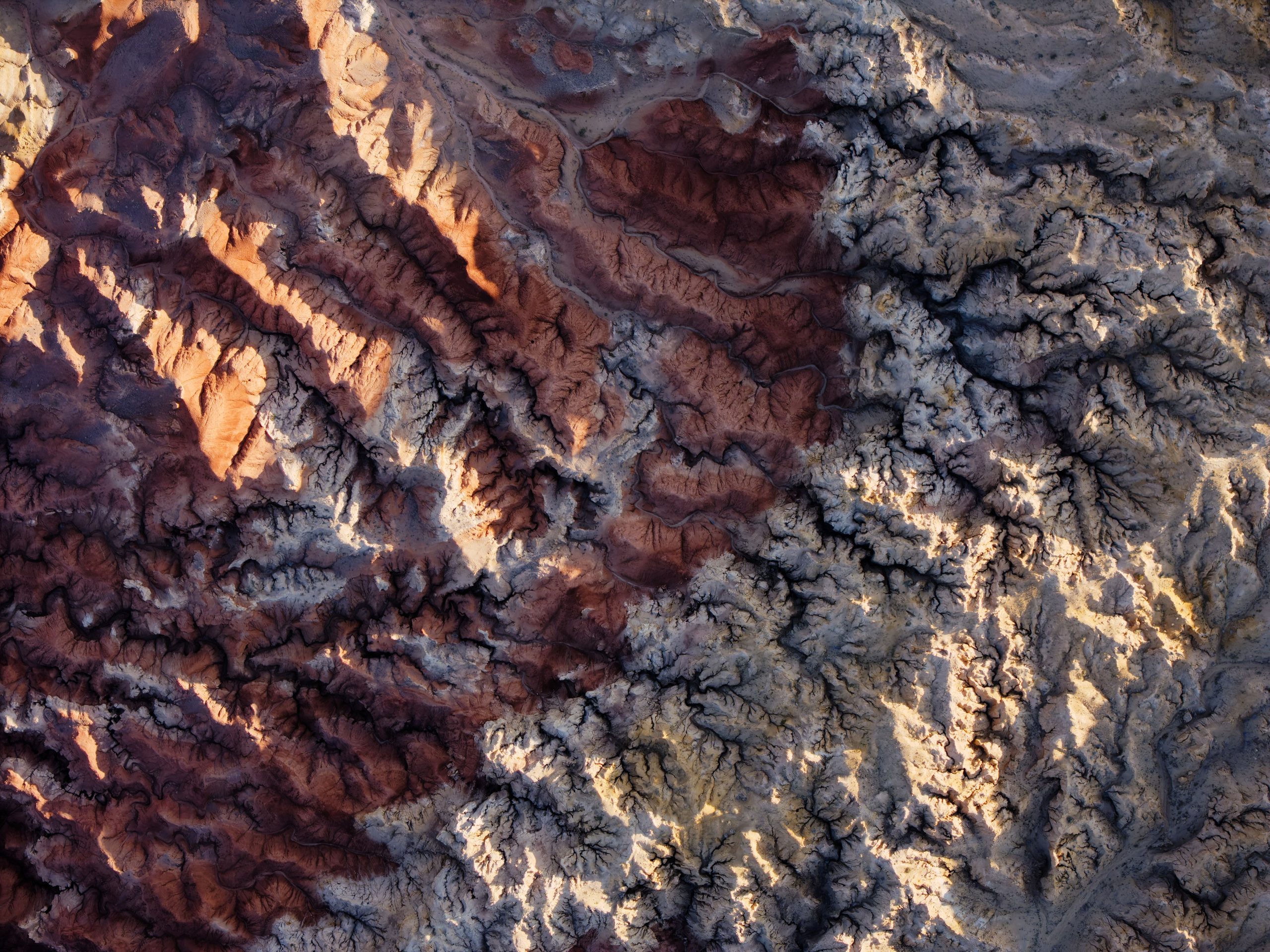 Экспедиция в Монголию (Гоби). Семоха Валерий. Фотограф