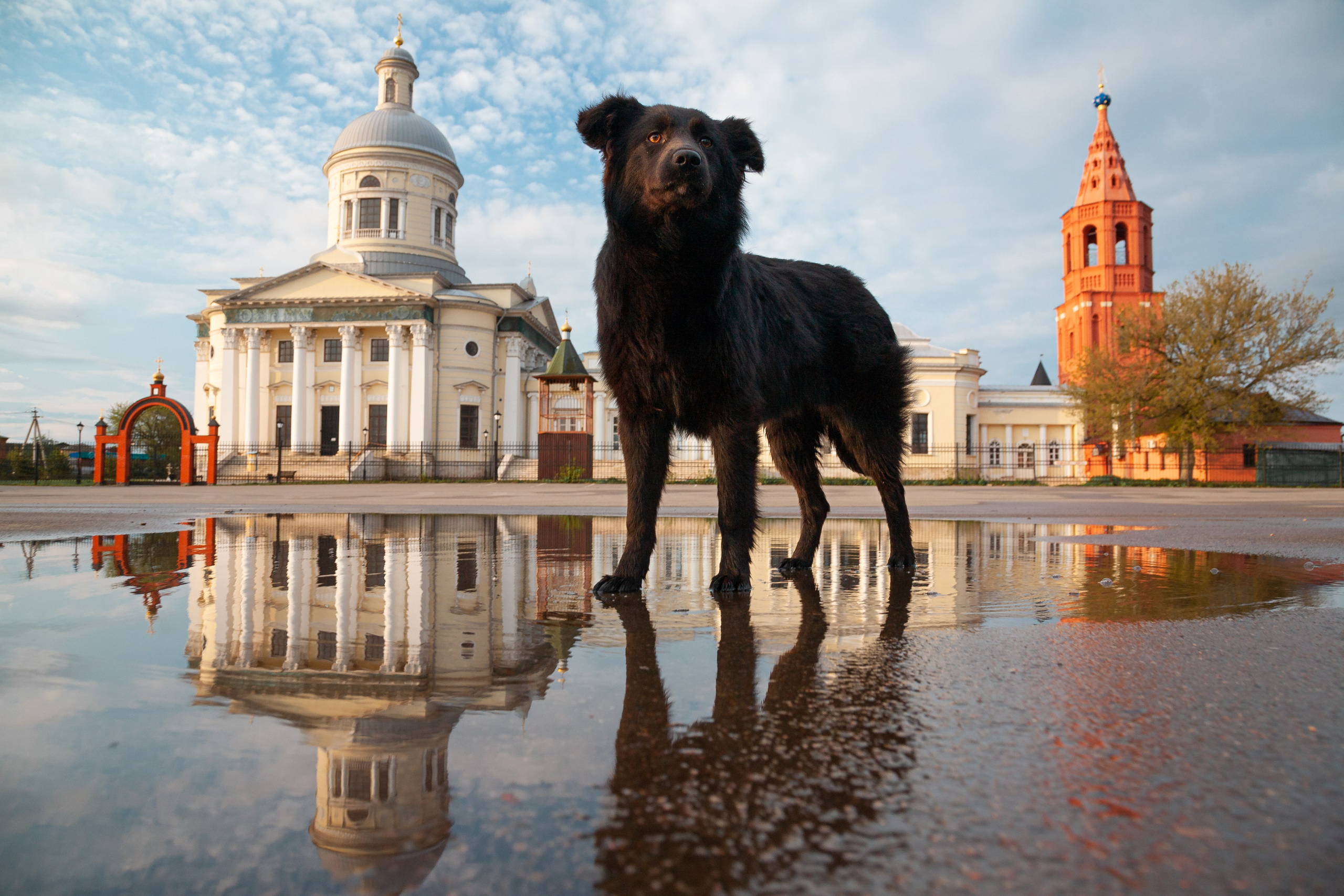 Епифань. Фотограф и видеооператор в Туле | Даниил Рыбак
