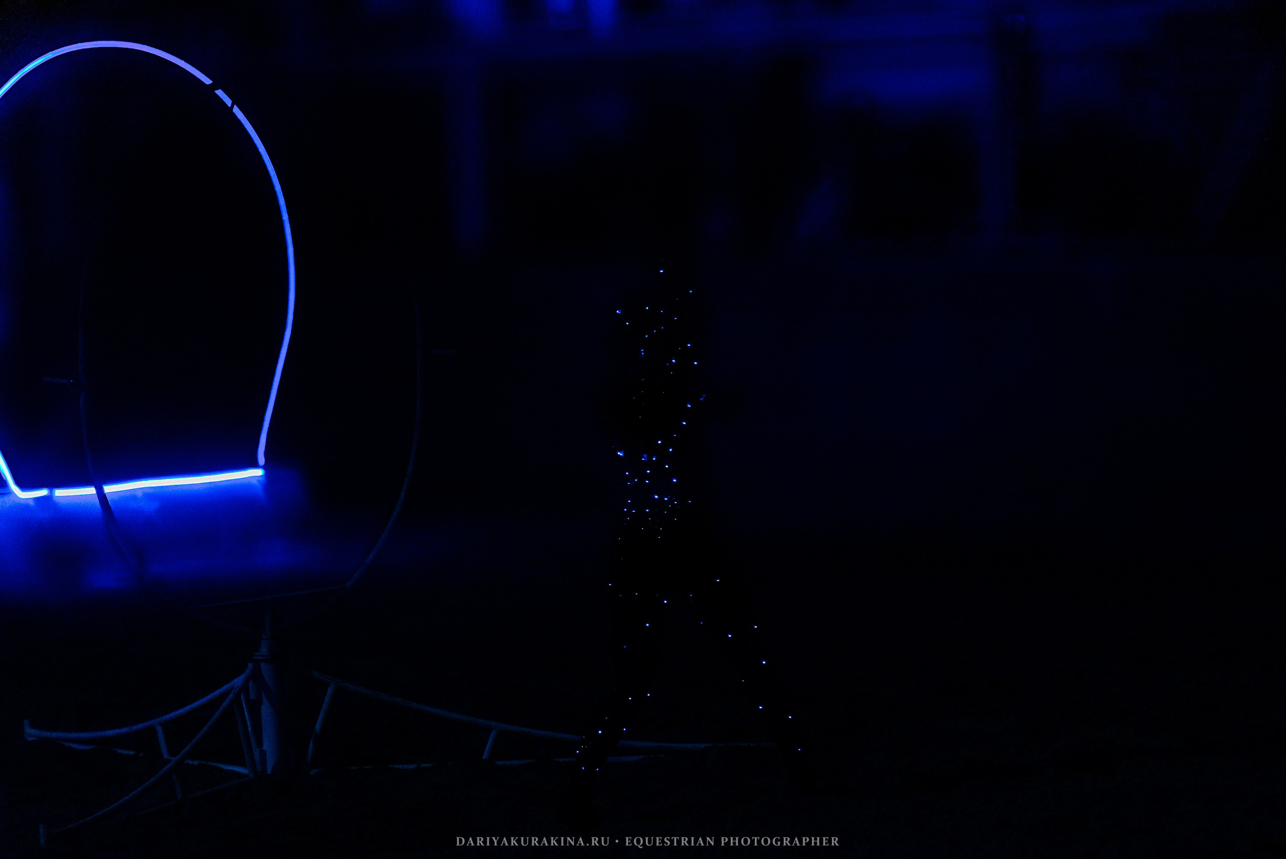 Конное представление «Дыхание Звёзд». Конный фотограф Куракина Дарья • Фотосессии с лошадьми