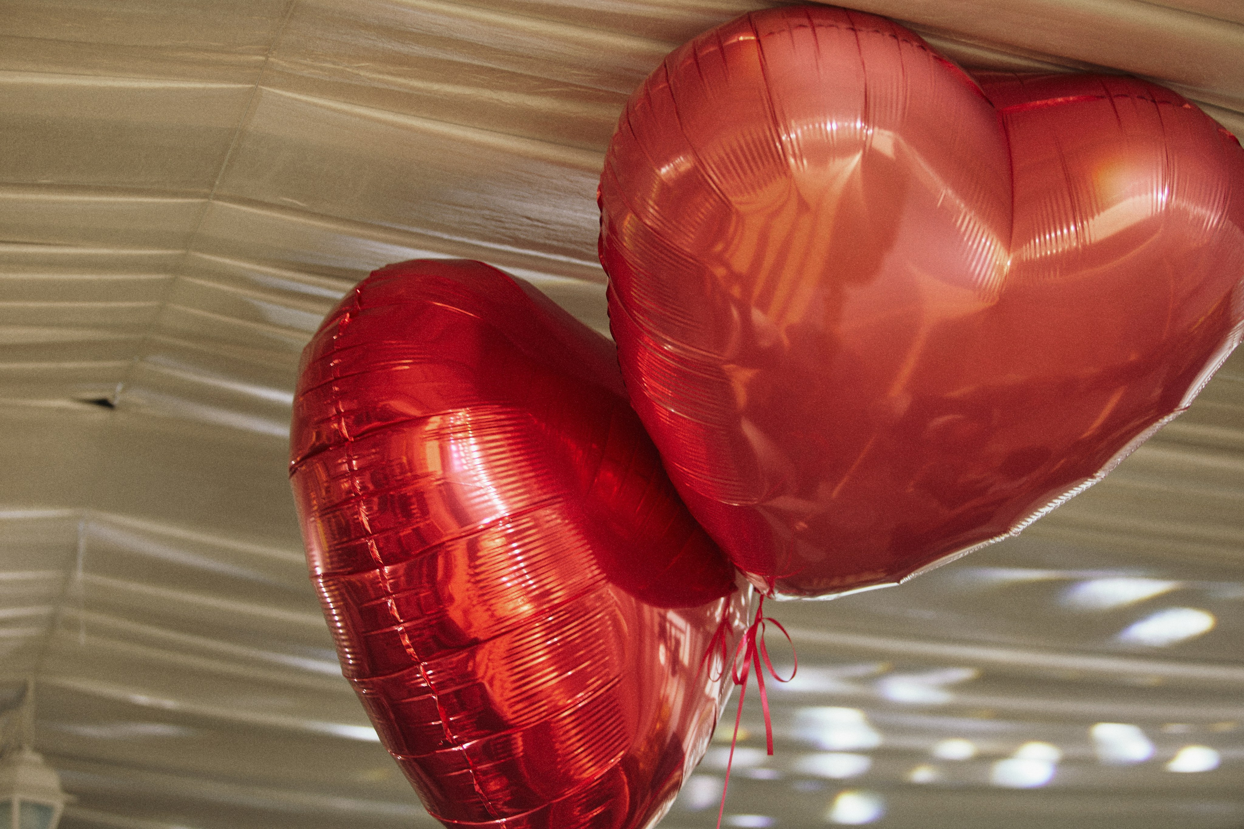 THE GRAND BUDAPEST. Дмитрий Мазуркевич: Профессиональный Репортажный Фотограф