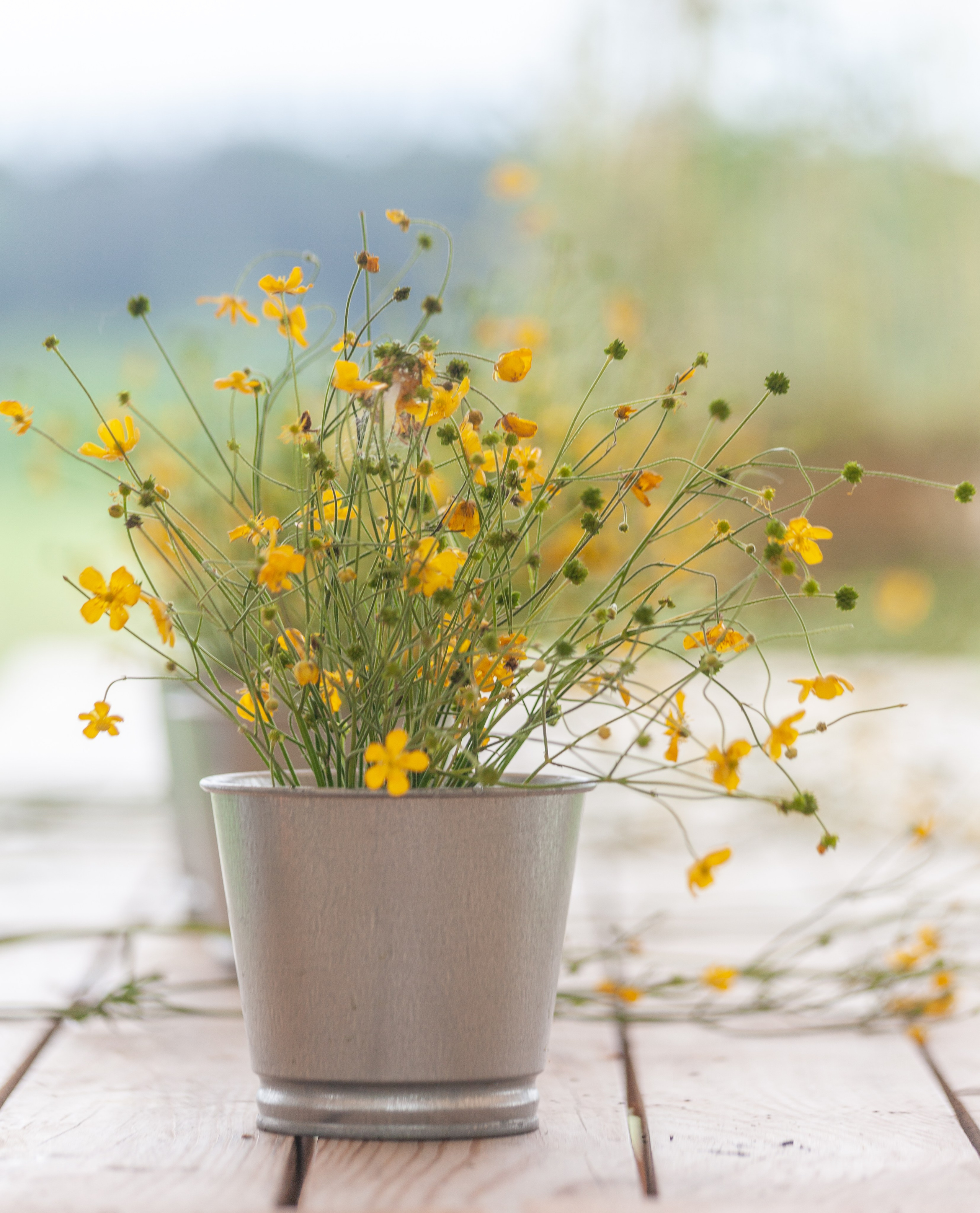 Glampimg camp. Maria Poleshchuk, commercial photographer in Sydney