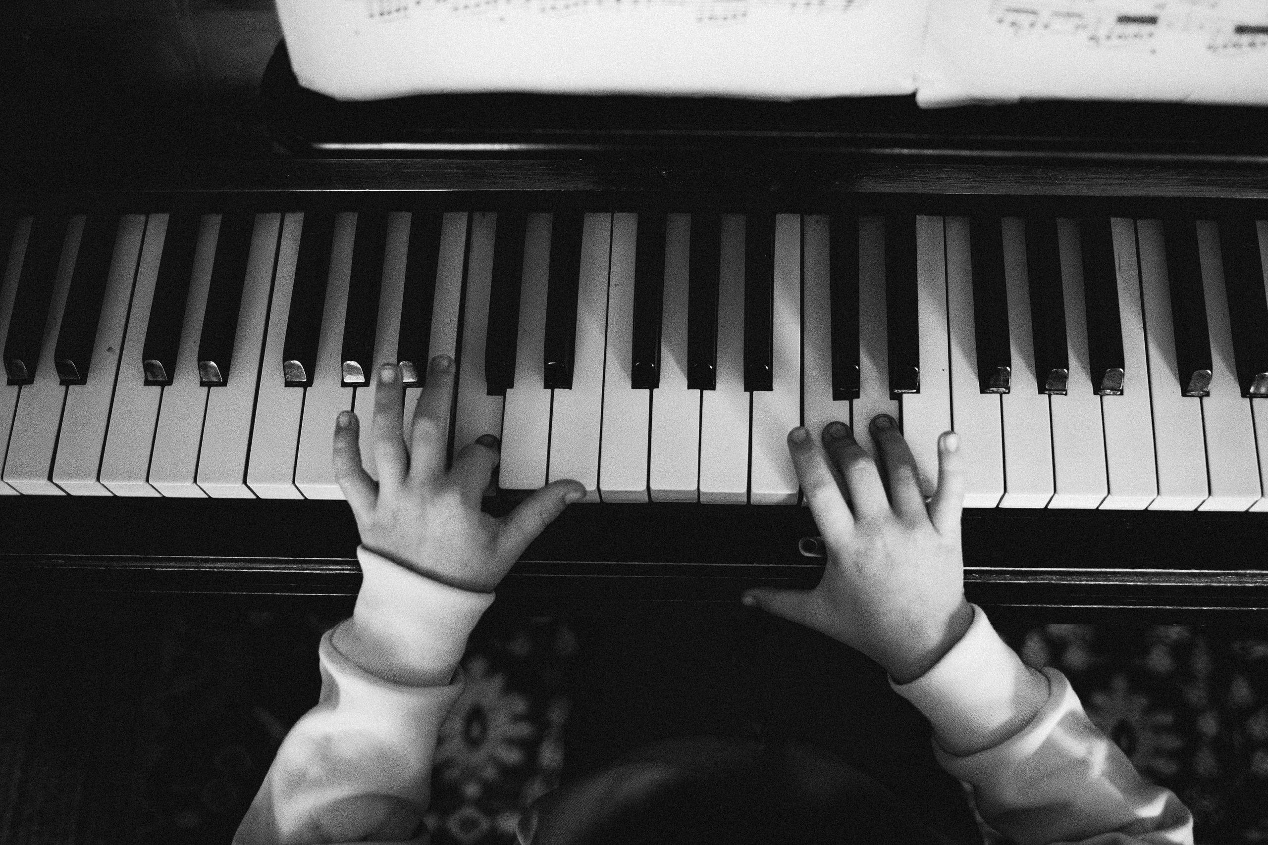 Плюш, Айса и их семья