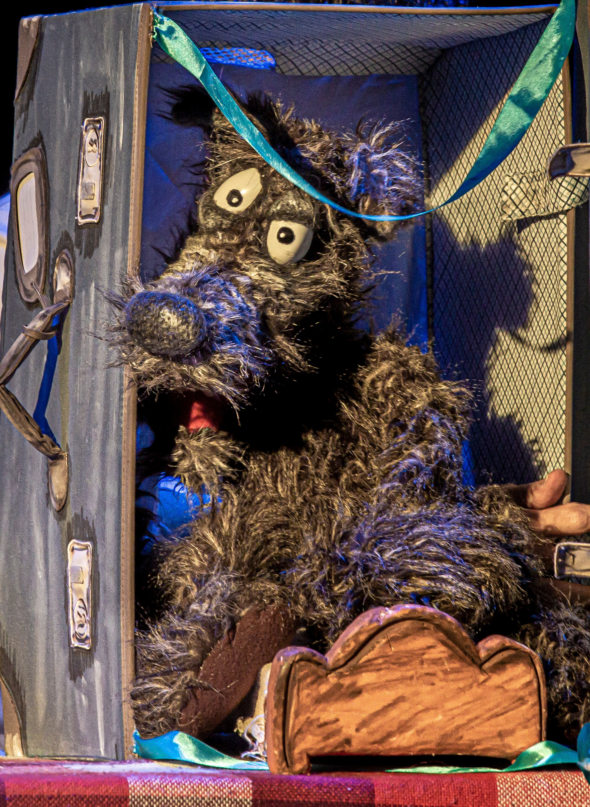 Спектакль театра Саквояж О Красной шапочке. Фотограф в Сочи Юрий Шептаев