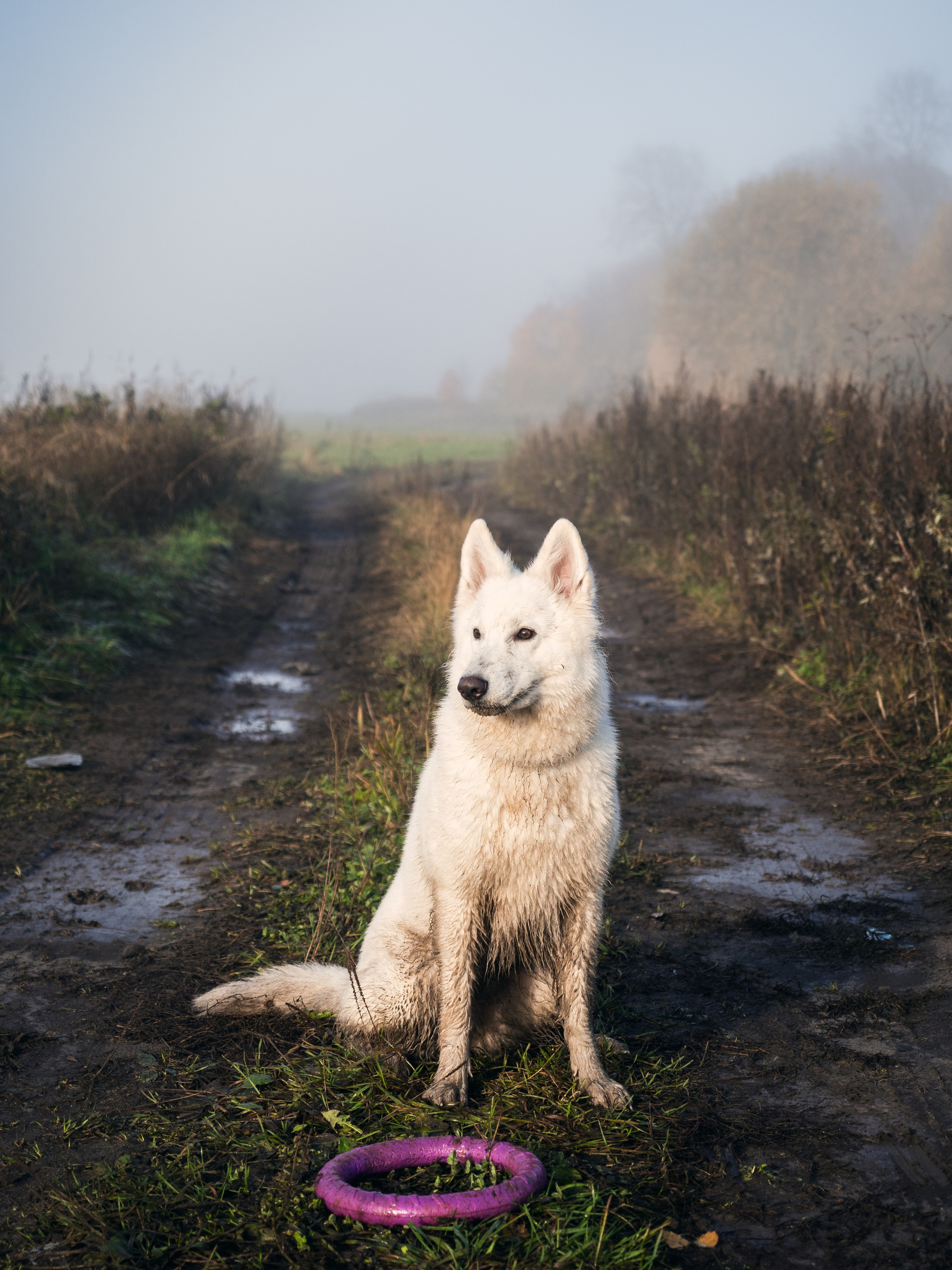 Бэкстейдж. Фотограф животных и людей в Санкт-Петербурге Дарья Быстрицкая