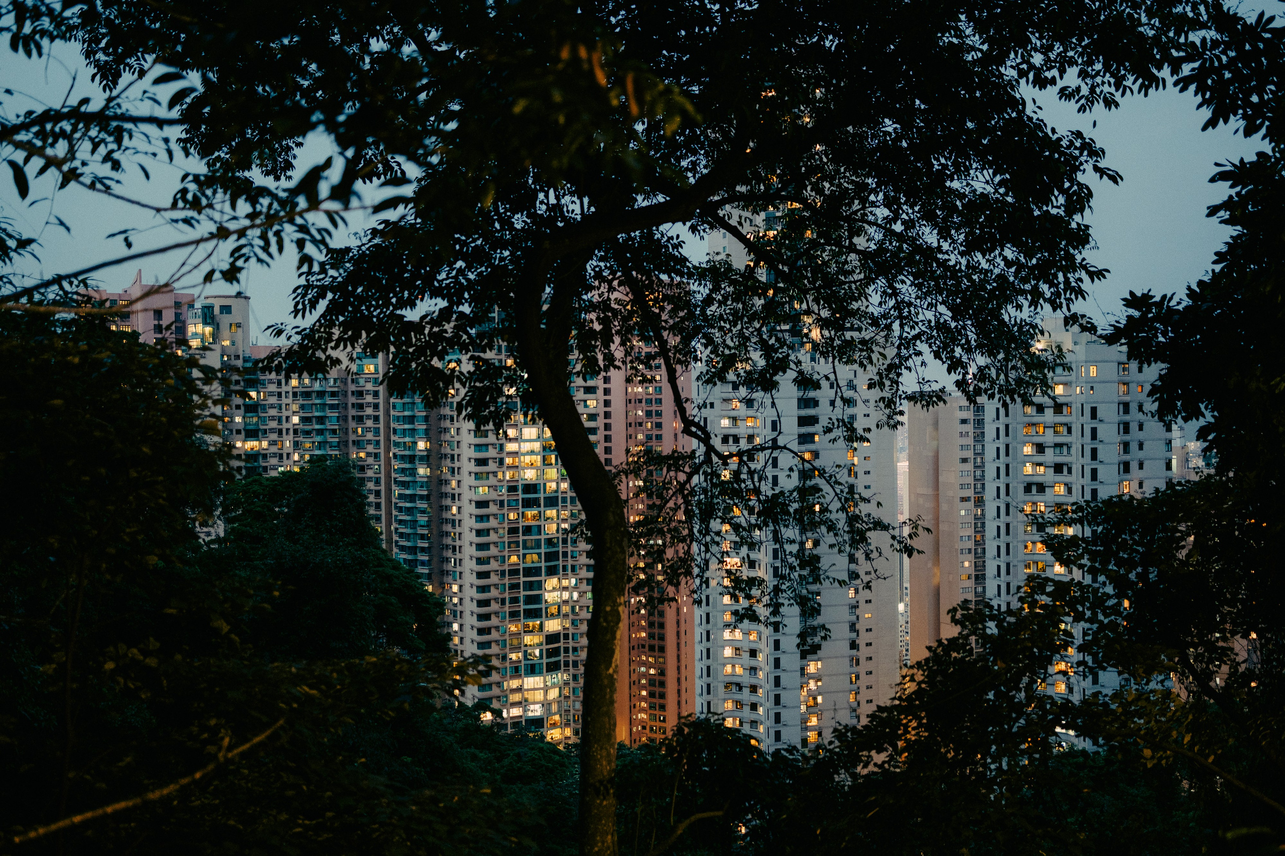 HongKong. Богдан Голубков — фотограф (notbogdang)