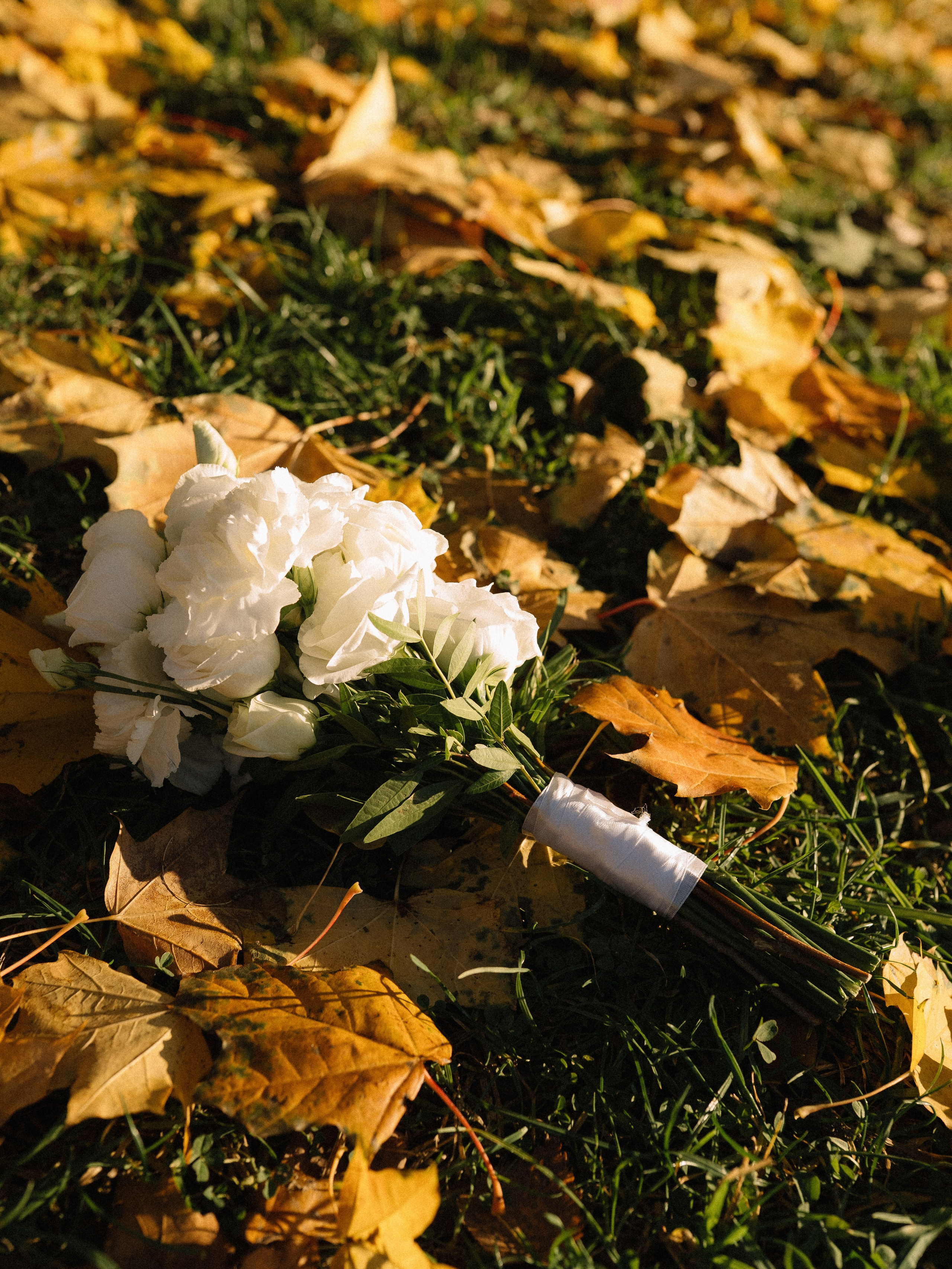 Милена и Ментимир. Фотограф в Санкт-Петербурге Черкесова Дарья