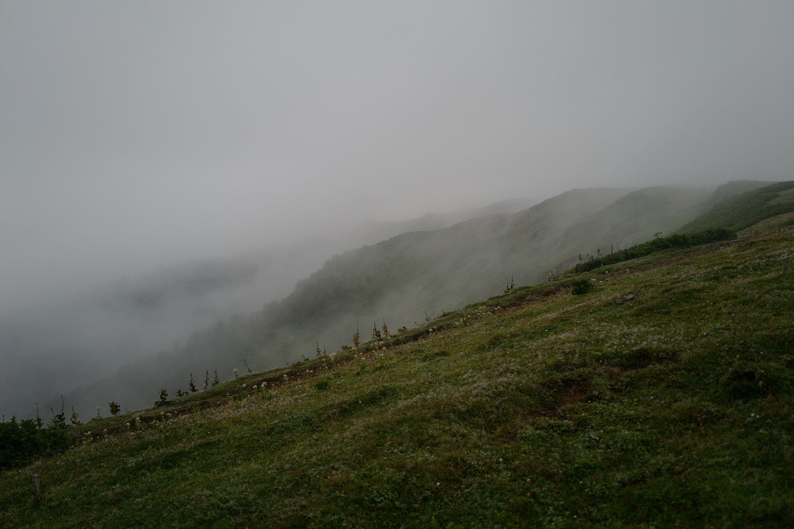 Дана и Ульяна. Fivealeks — Портретная фотография. Обучение. Пресеты