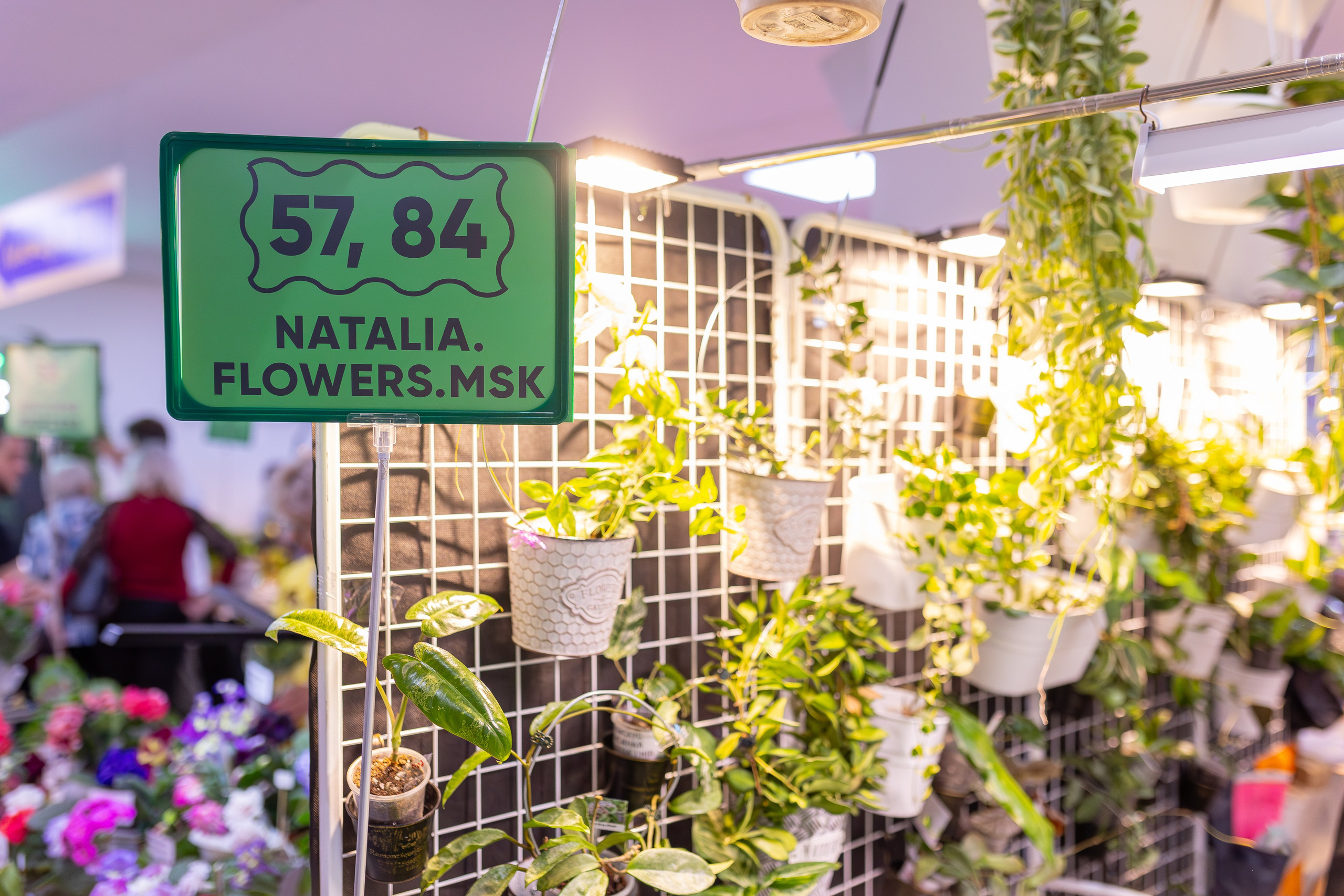 Монстериум 11–12 октября. Александра Куликова фотограф, Москва