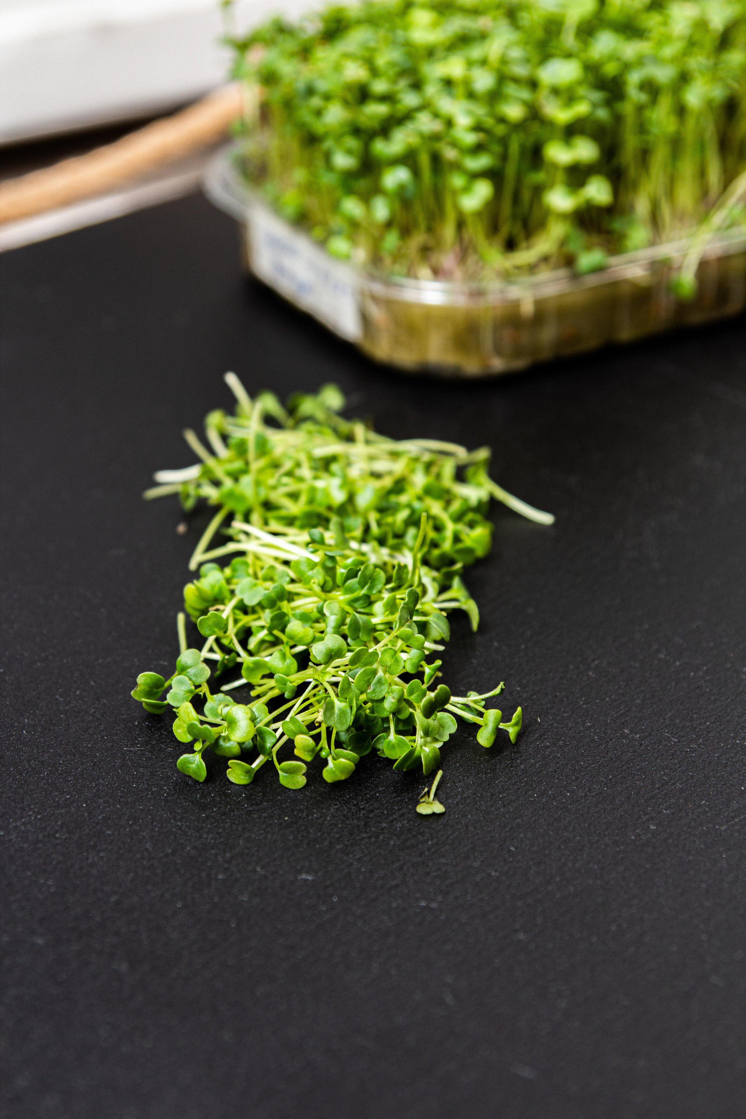 Микрозелень. Фотограф Ирина Колесникова