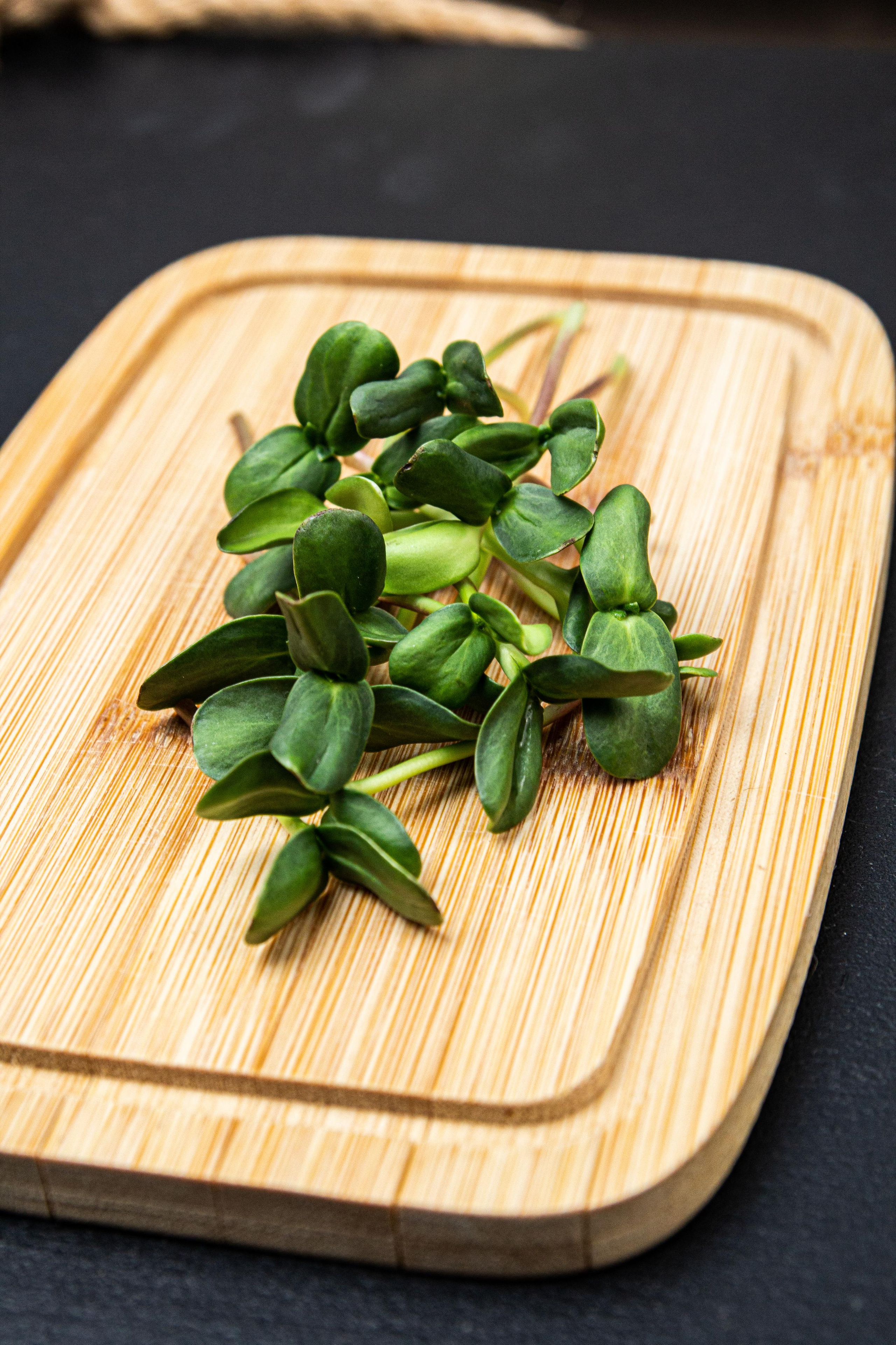 Микрозелень. Фотограф Ирина Колесникова