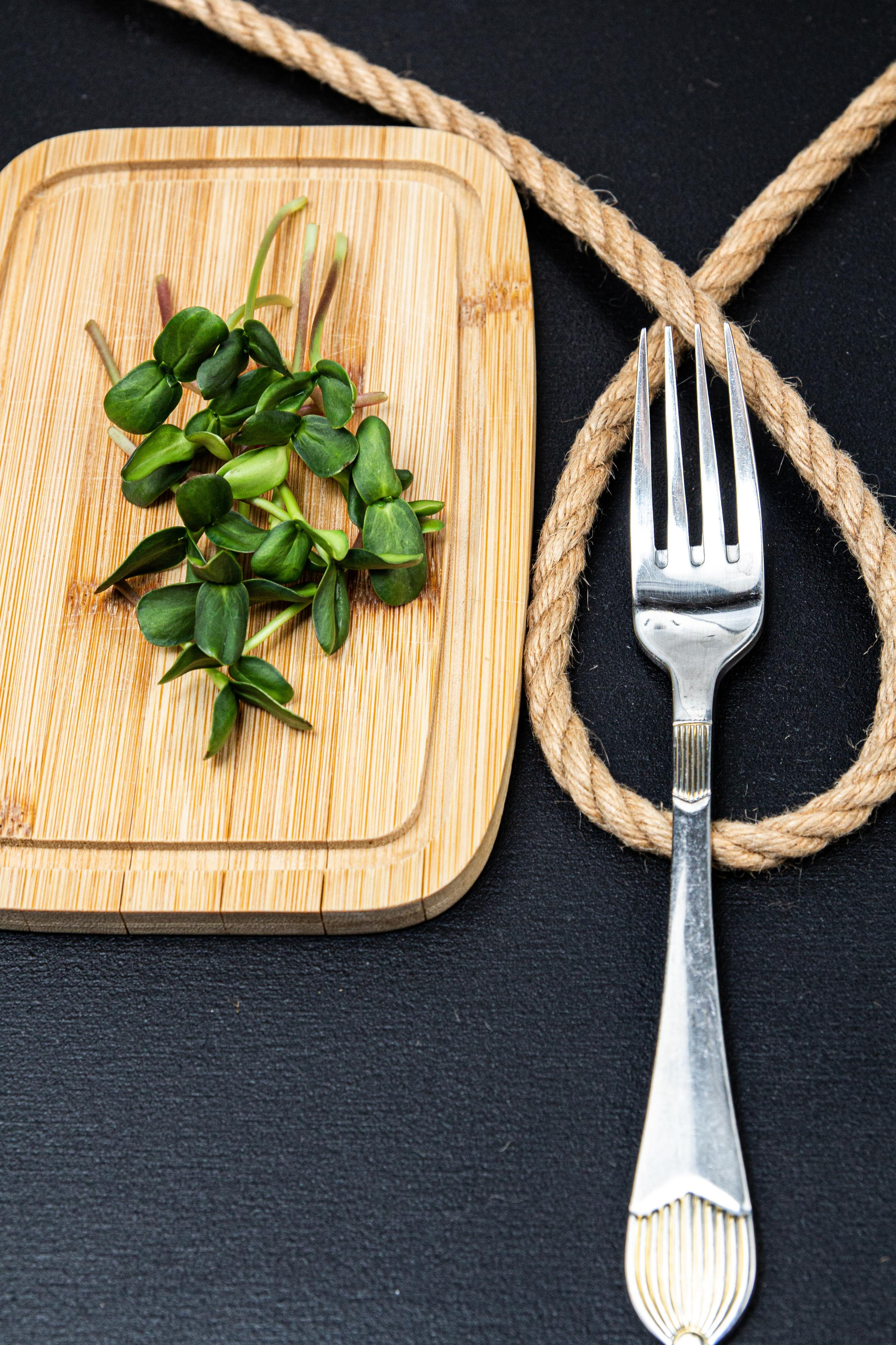 Микрозелень. Фотограф Ирина Колесникова