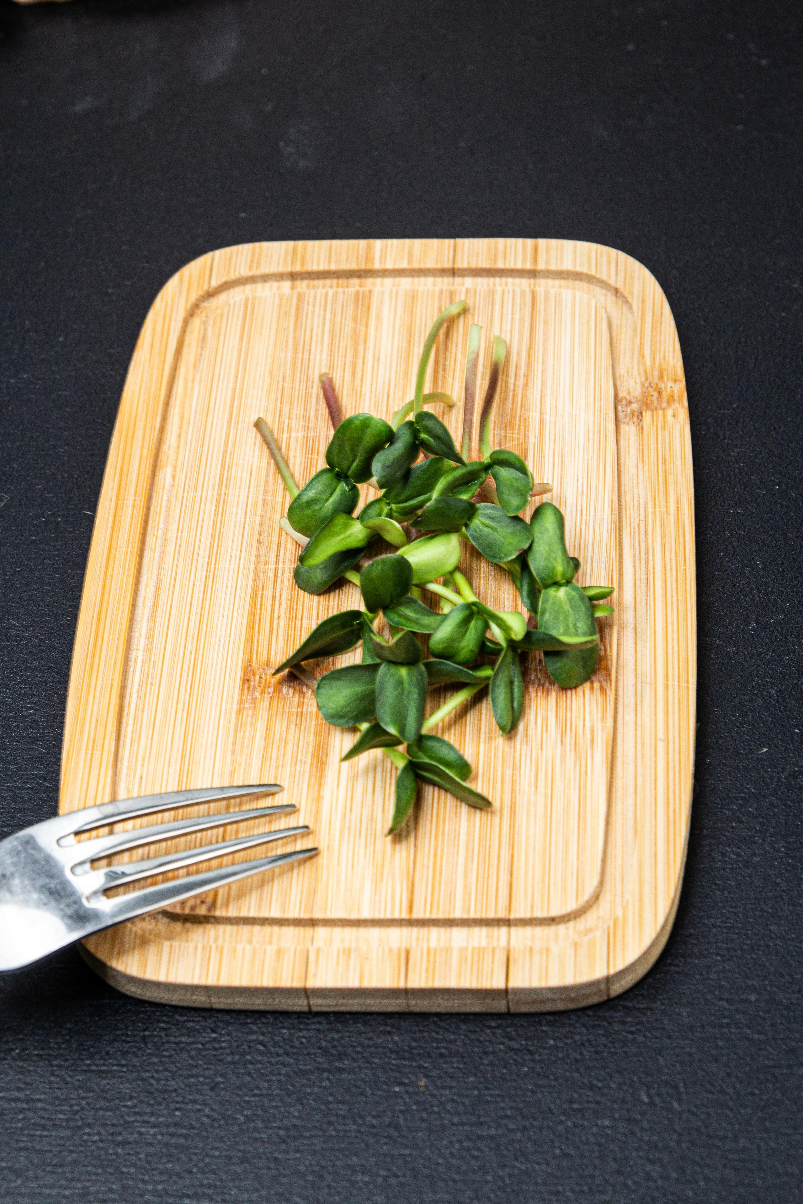 Микрозелень. Фотограф Ирина Колесникова