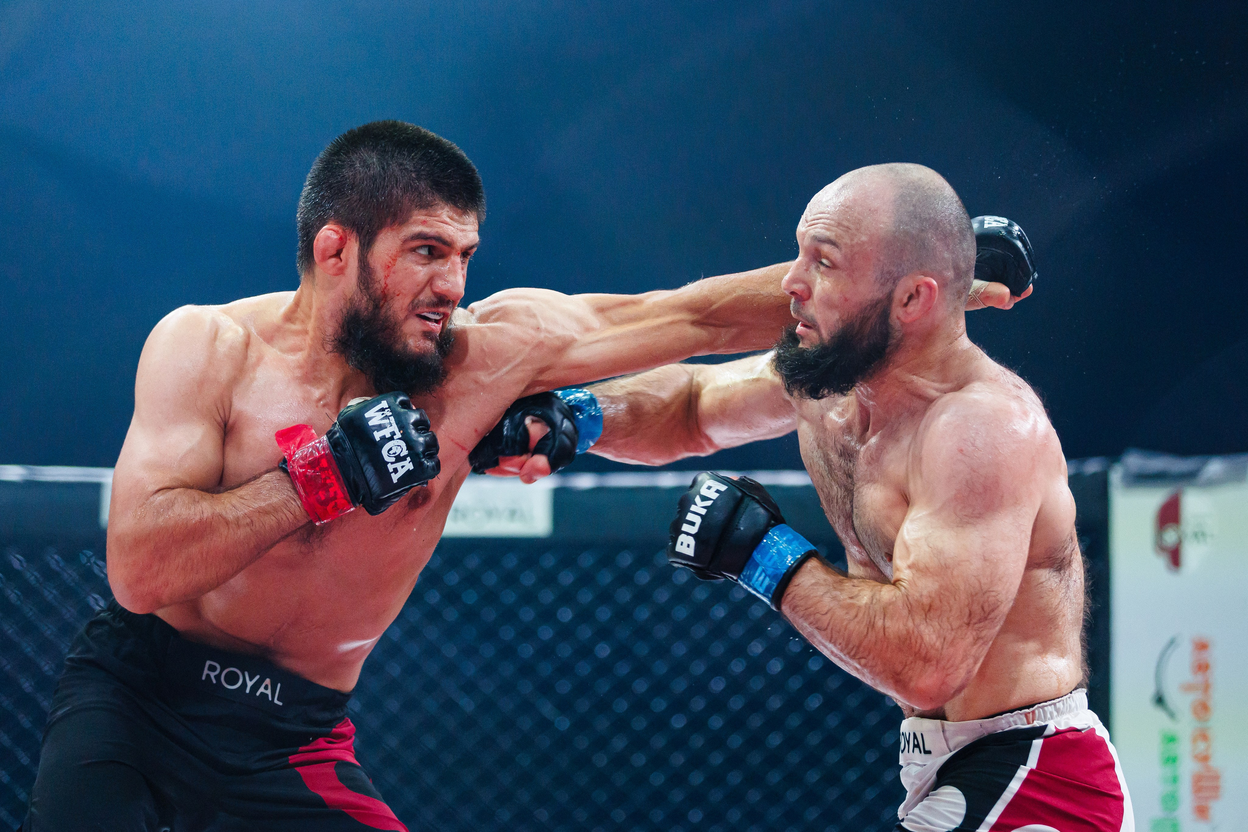 ММА. Спортивный фотограф Денис Веселов в Нижнем Новгороде