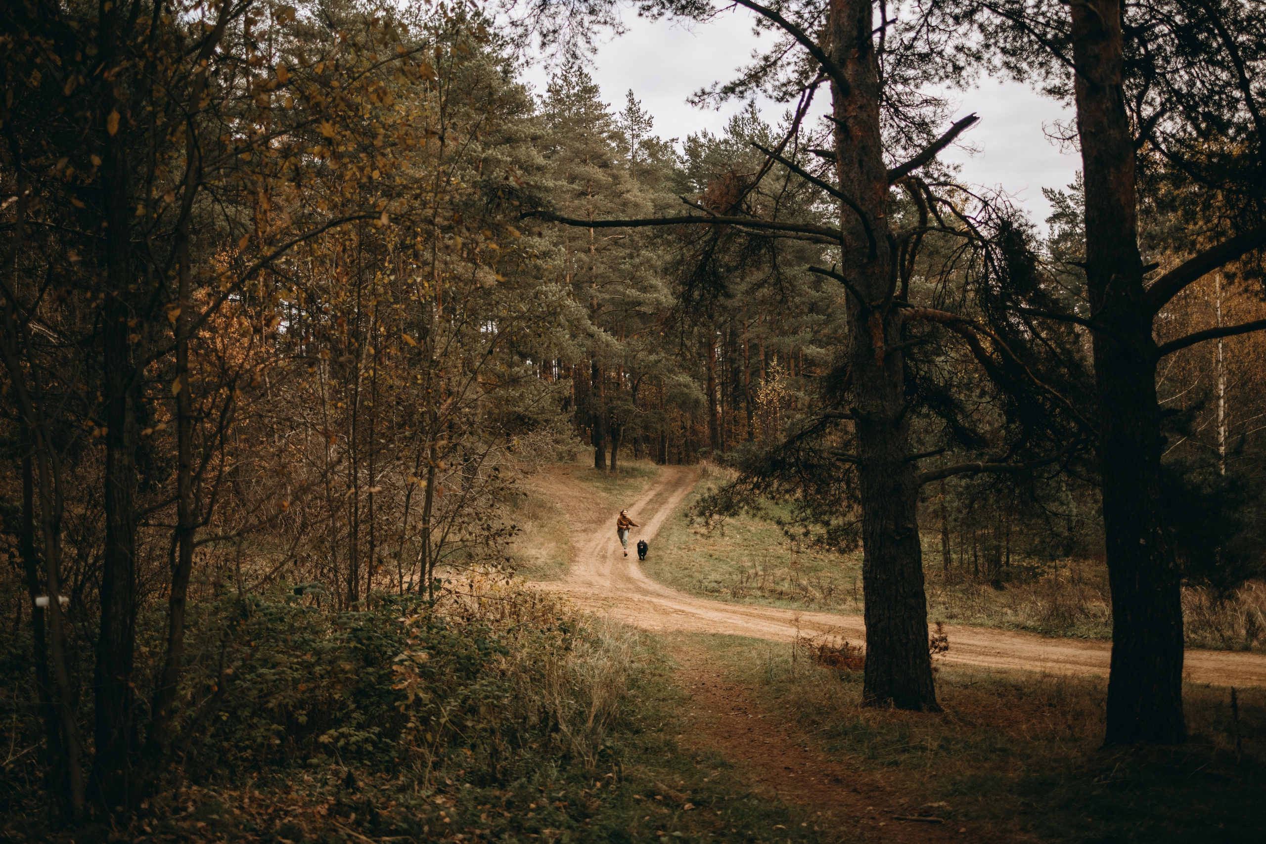 Лора и Джанго. Фотограф — Анималист | Санкт-Петербург