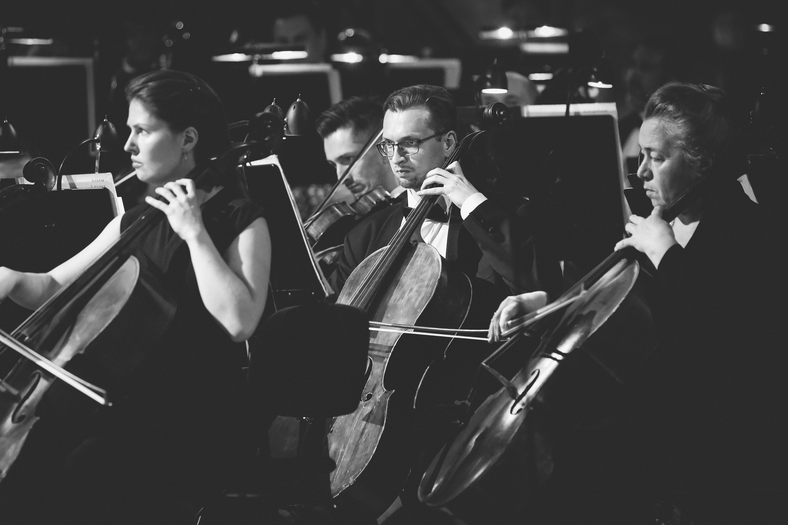 Концерт к 30-летию театра «Новая опера». Дарья Письменюк / Darya Leitstern — фотограф, музыкант, журналист, путешественник