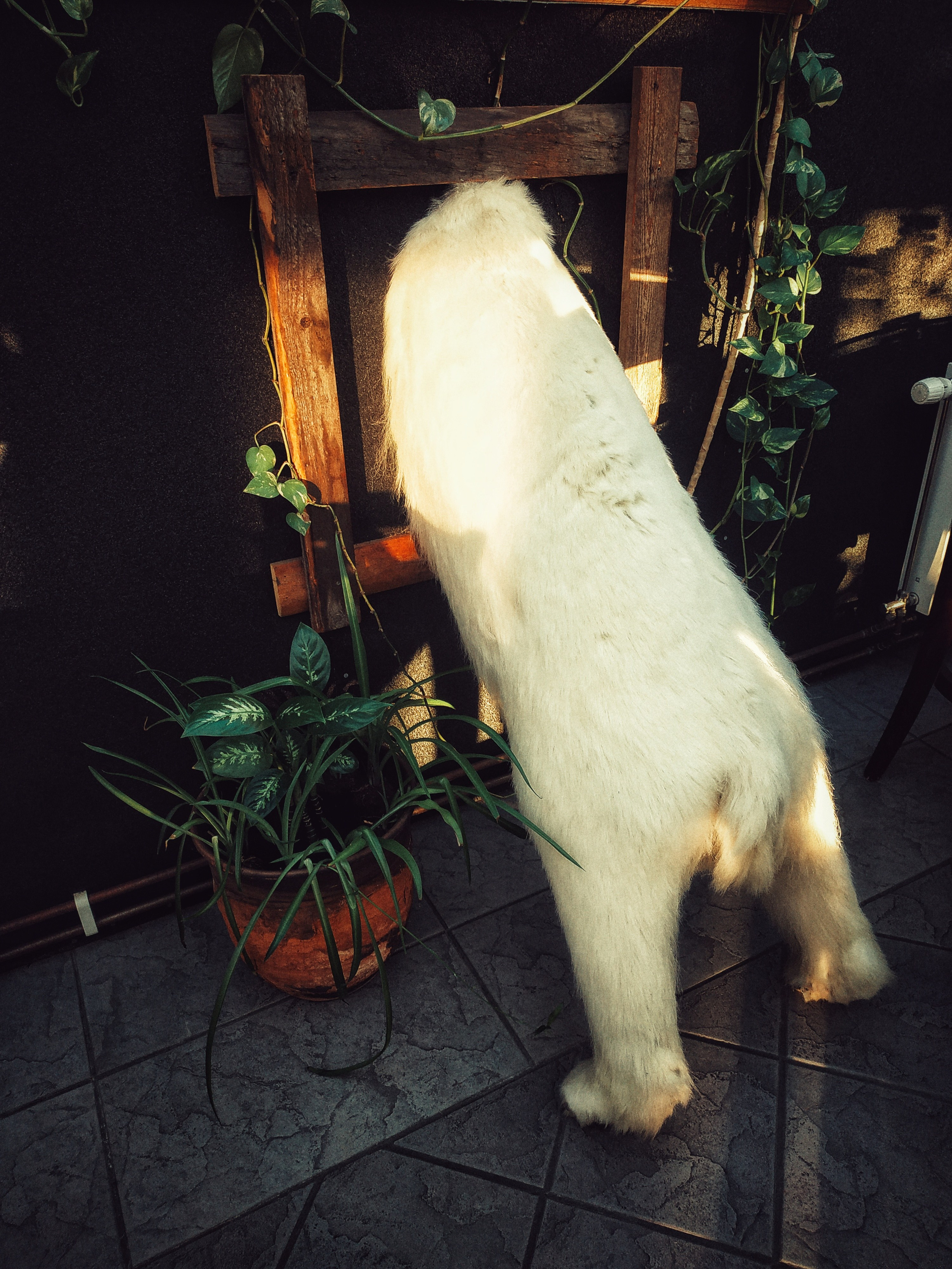 Мой первый день на Шпицбергене. Дарья Письменюк / Darya Leitstern — фотограф, музыкант, журналист, путешественник