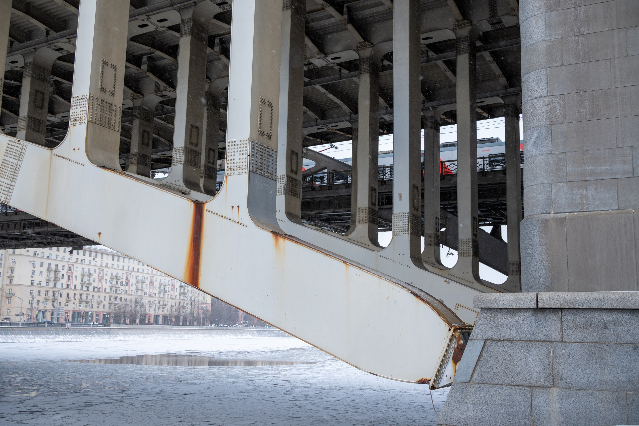 20250216 Нескучный сад. Дмитрий Ремизов. Фотография, как хобби