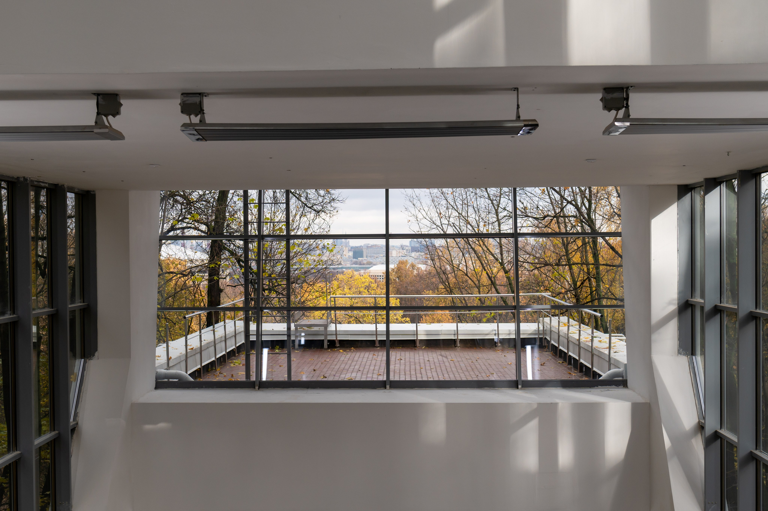 20231031 Нескучный сад. Дмитрий Ремизов. Фотография, как хобби