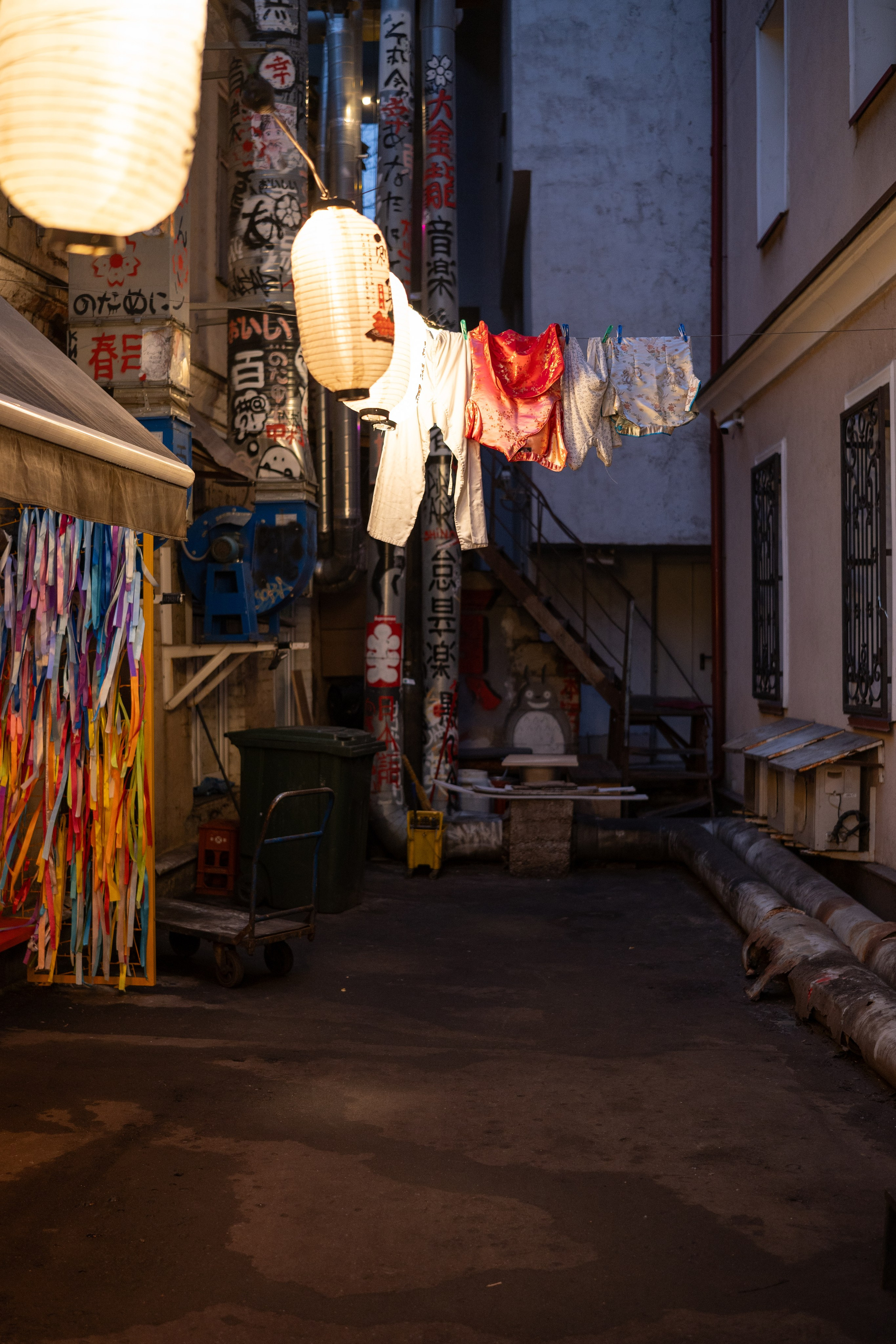 20241201 от Чеховской до Арбатской. Дмитрий Ремизов. Фотография, как хобби