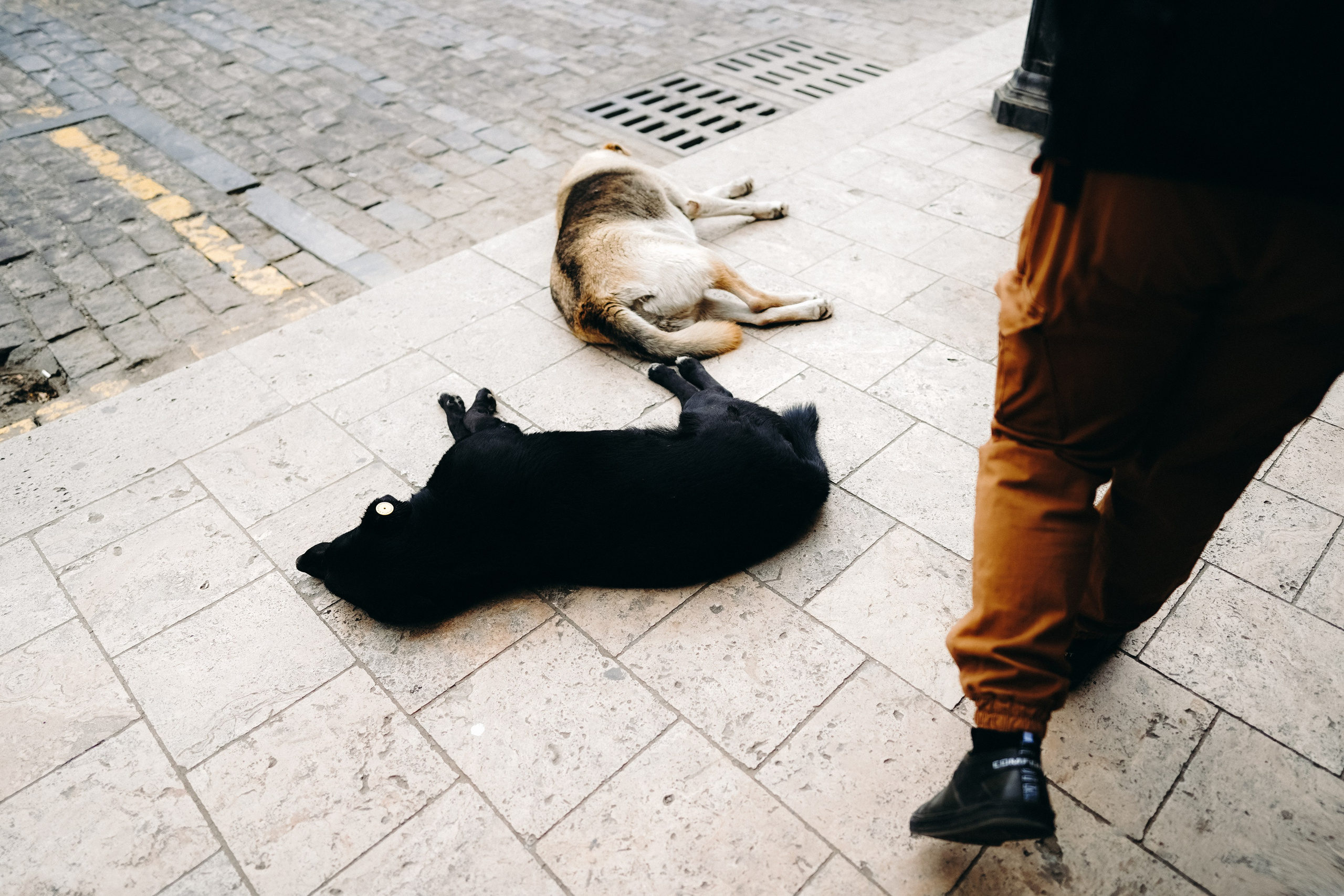 ГРУЗИЯ. Ася Краснова