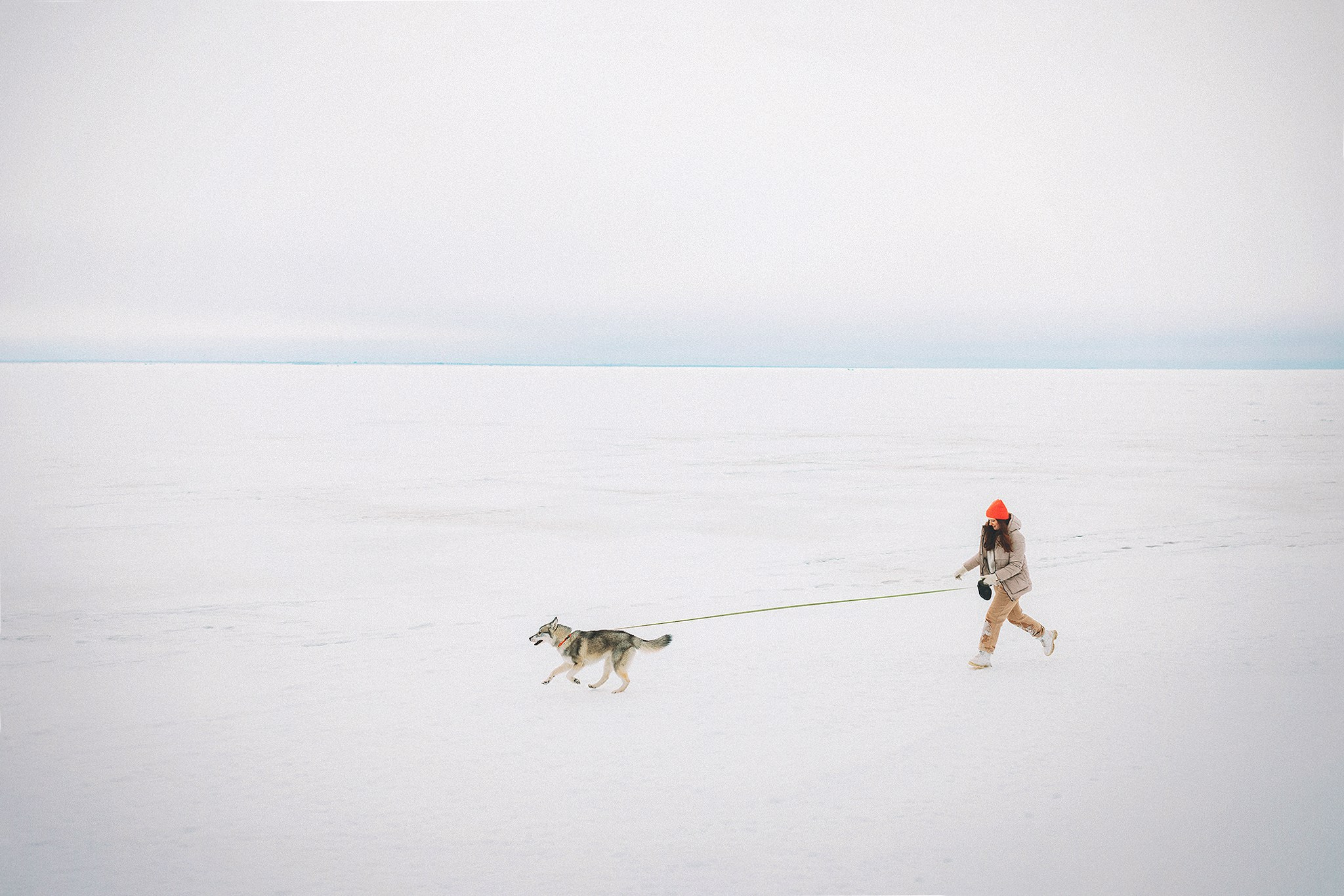 Даймонд и Настя. Фотограф-анималист • love-story • Санкт-Петербург