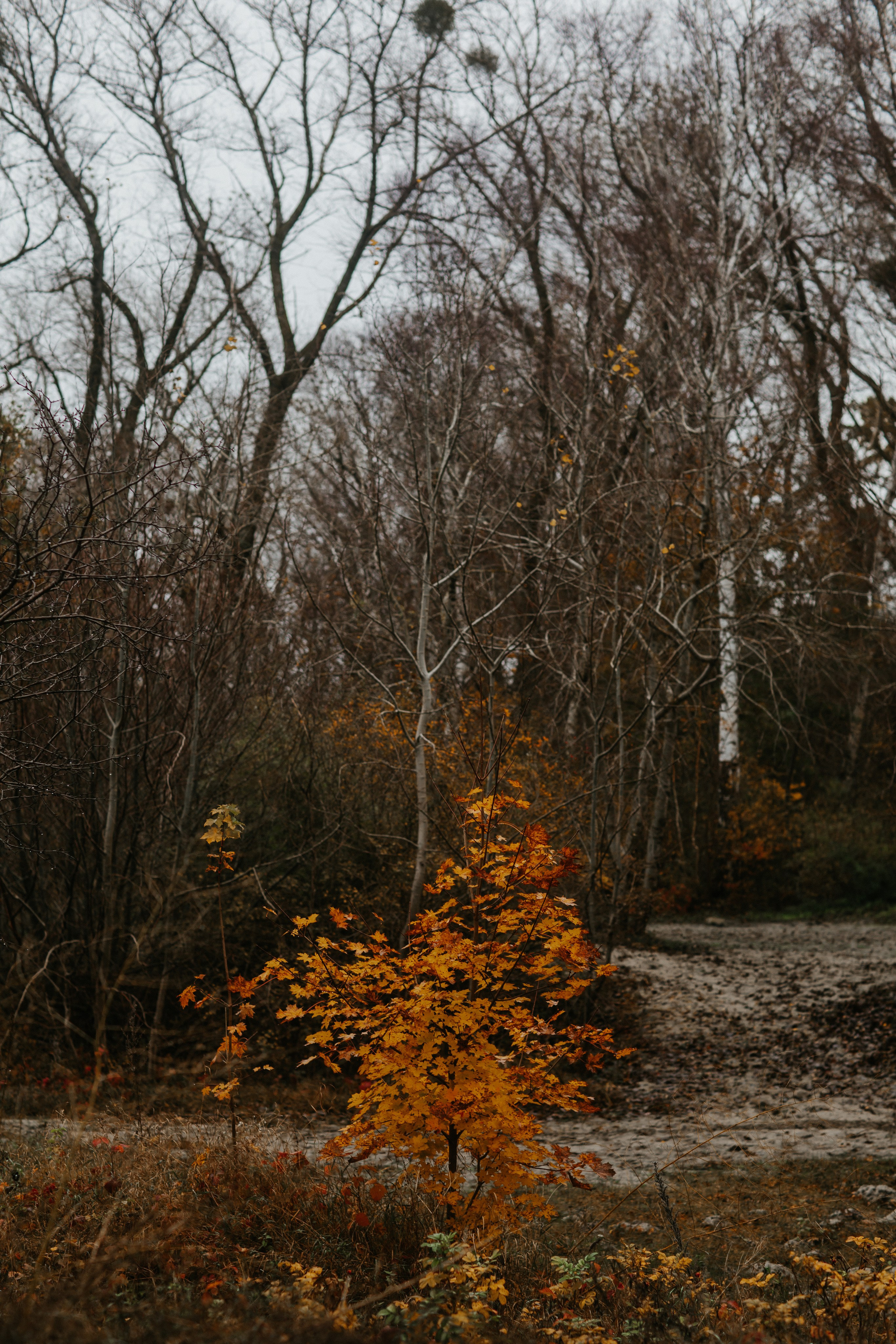 Балтийск/Калининград. Свадебный и семейный фотограф/видеограф в Краснодаре Наталья Осинская