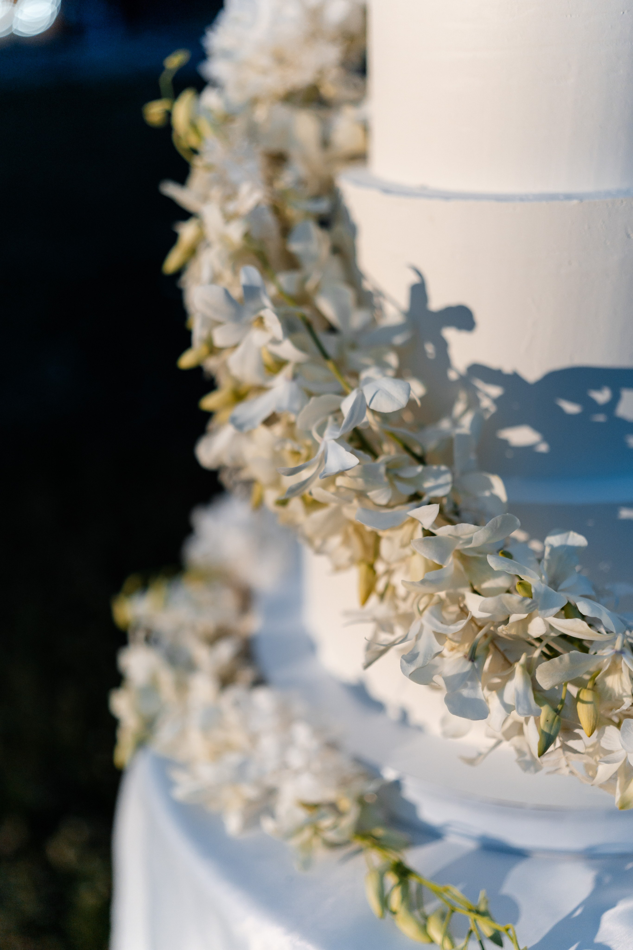 E&V. Свадебный Фотограф в Коломне и Москве Николай Максименко