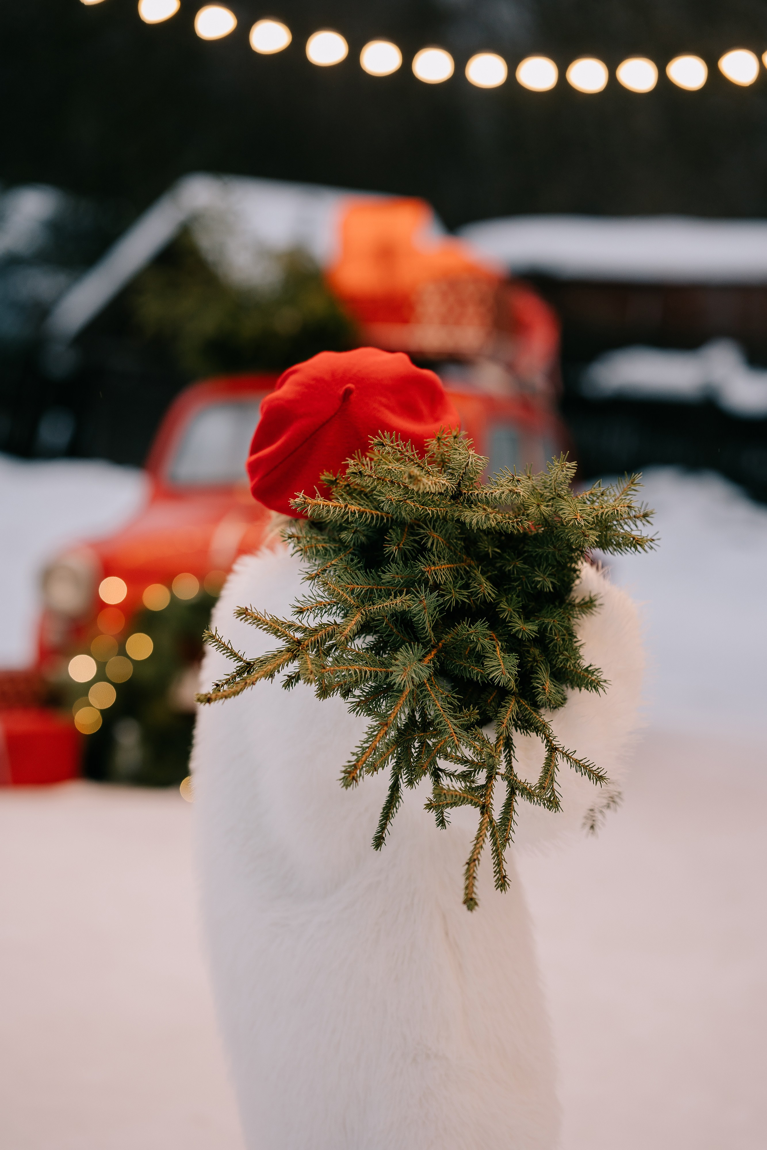 В каждой секунде — волшебство. Свадебный и семейный фотограф Юлия Грибанова +7 909-133-66-33
