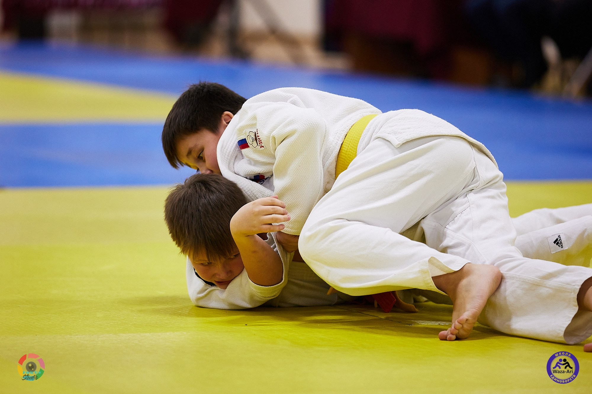 Репортаж Турнир по дзюдо. Спортивный фотограф Некрасов Денис